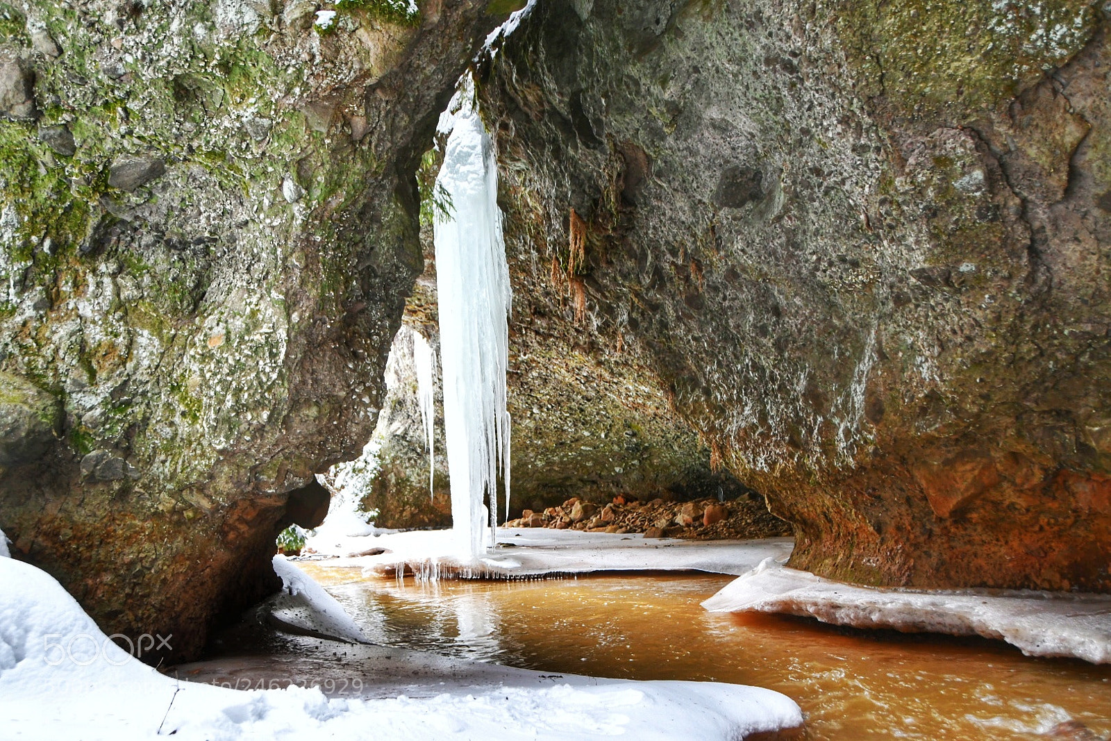 Nikon D500 sample photo. Untitled photography