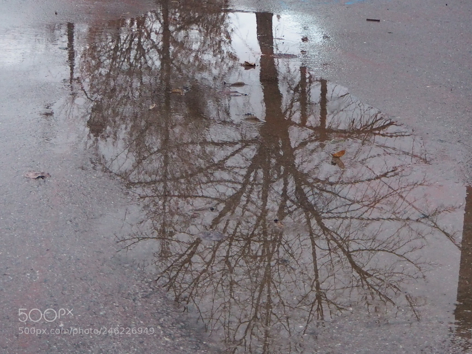 Olympus OM-D E-M10 II sample photo. Reflection photography