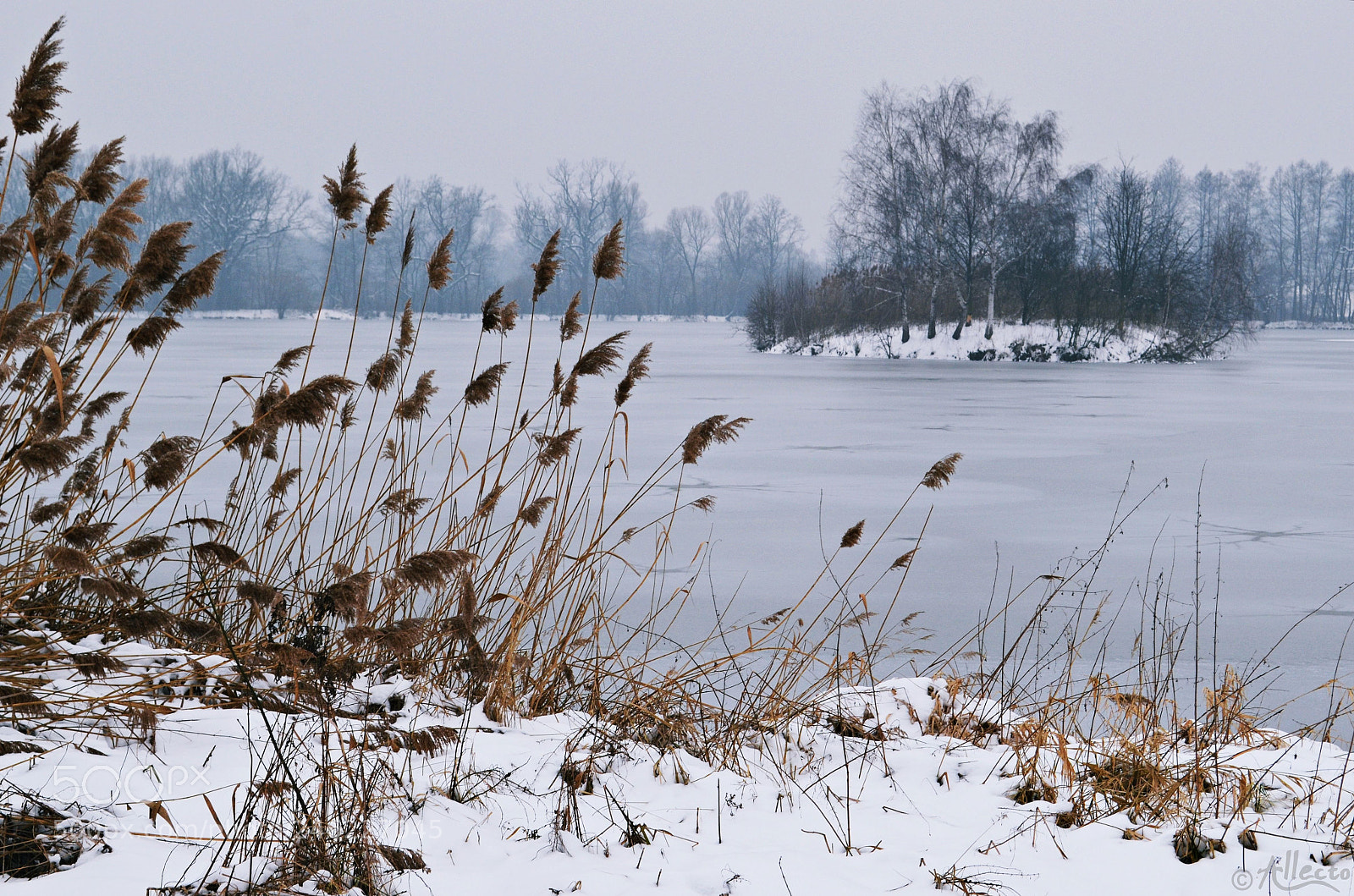 Nikon D5100 sample photo. Cold photography