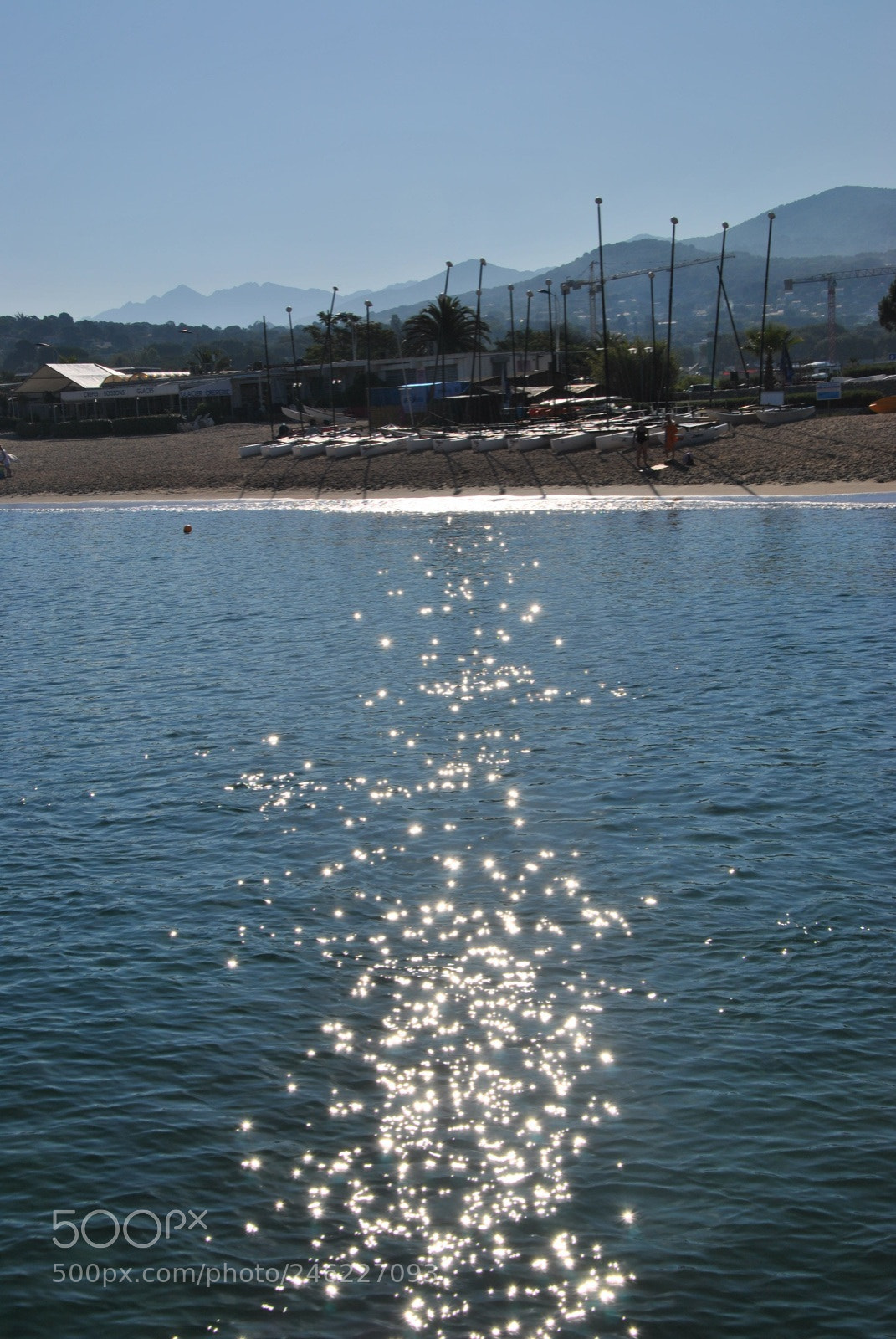 Nikon D3000 sample photo. Untitled photography