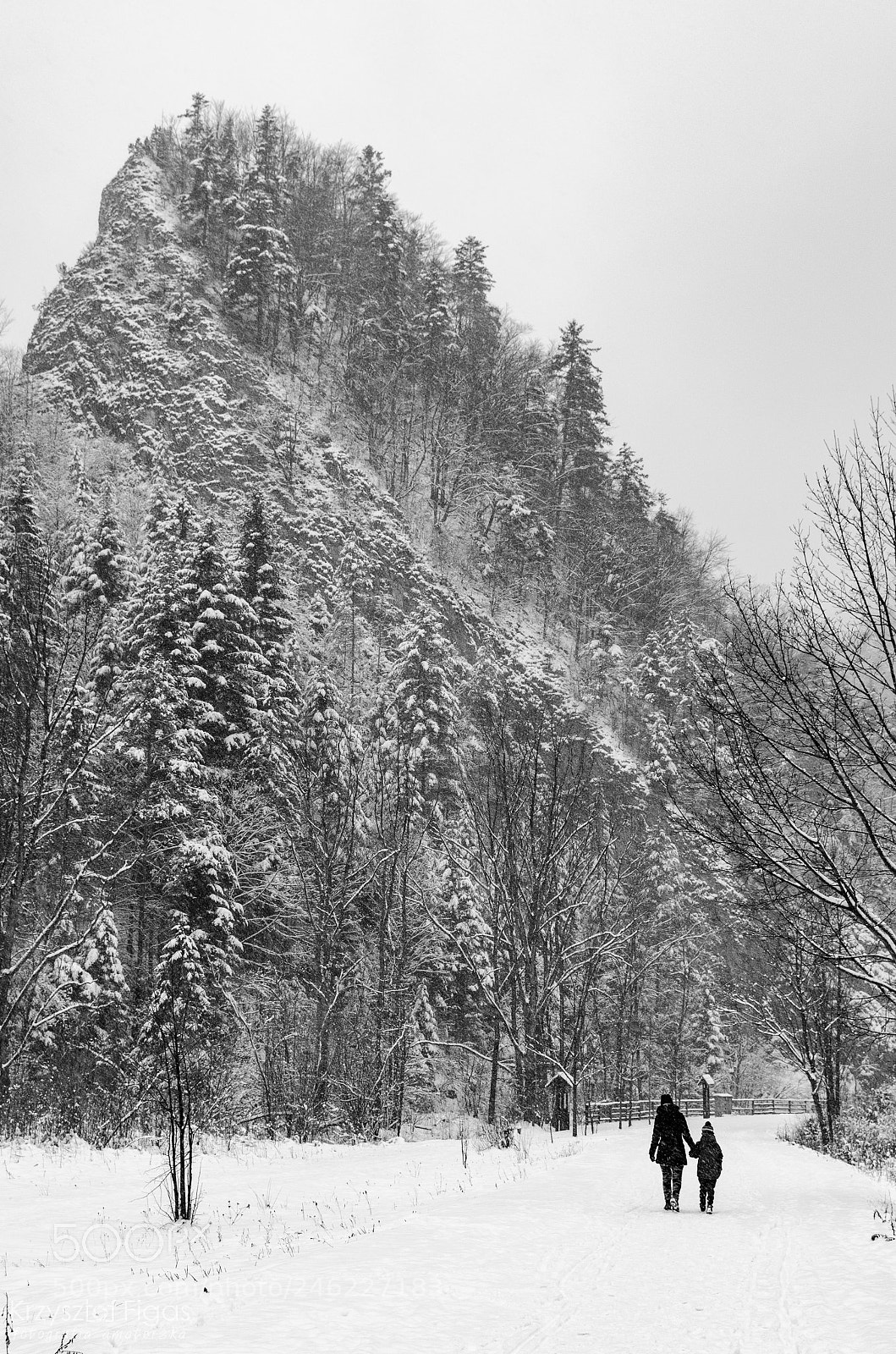 Nikon D5100 sample photo. Winter walk. photography