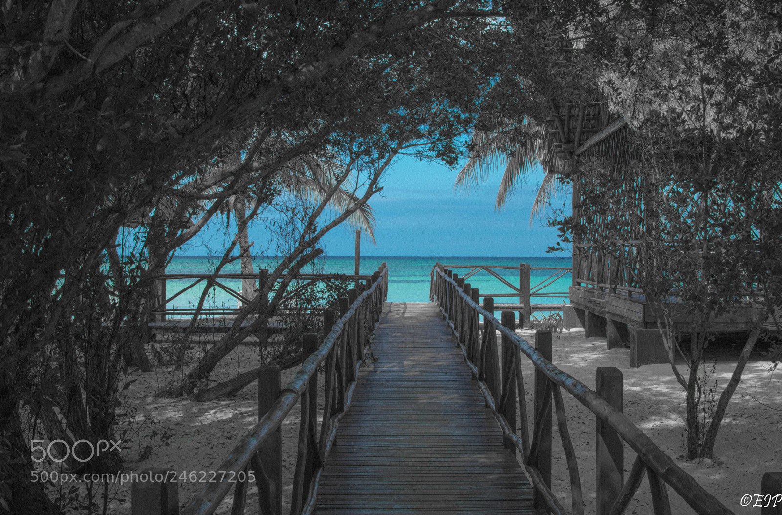 Nikon D3200 sample photo. Going to paradise photography