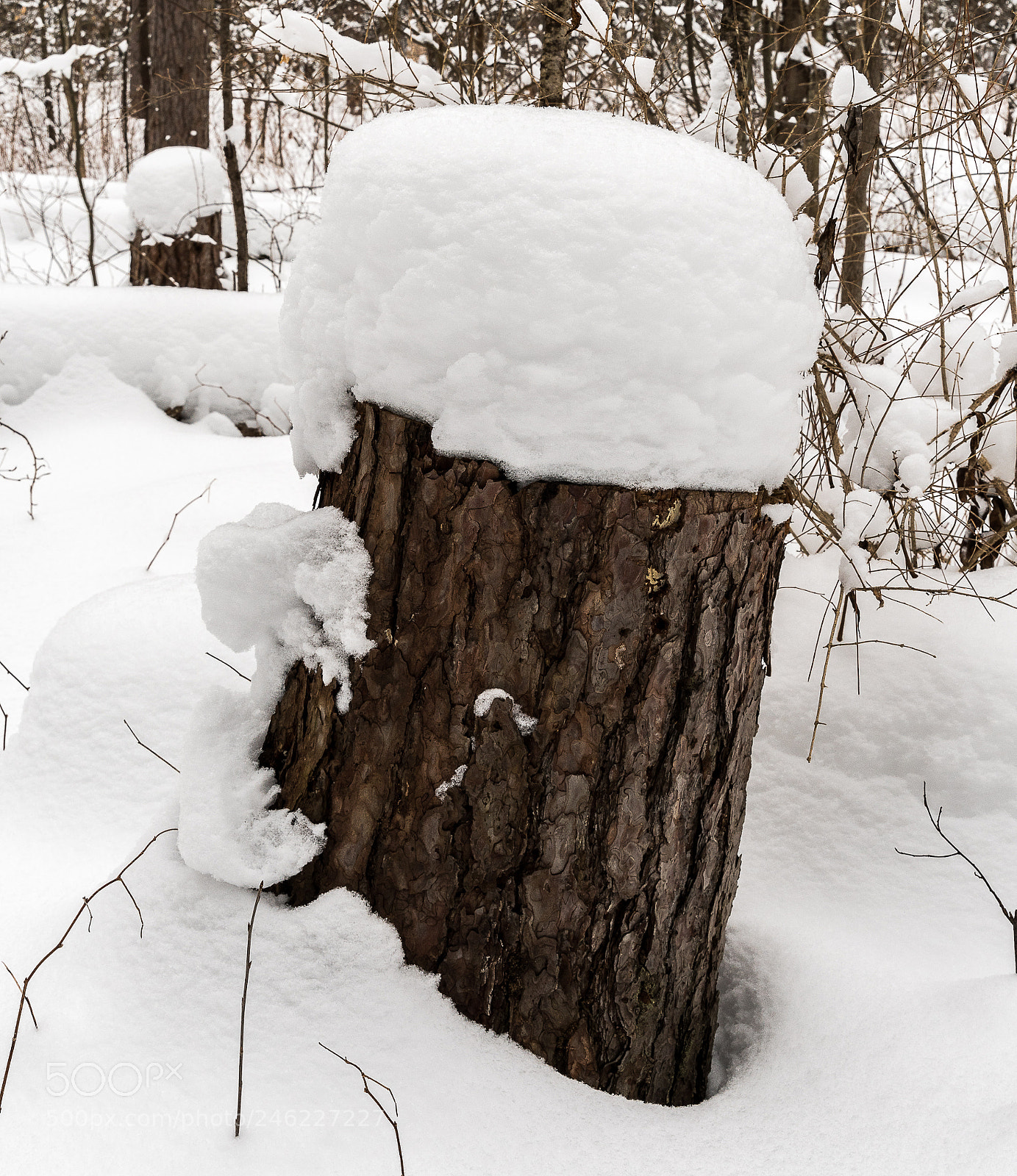 Nikon D500 sample photo. Snow photography