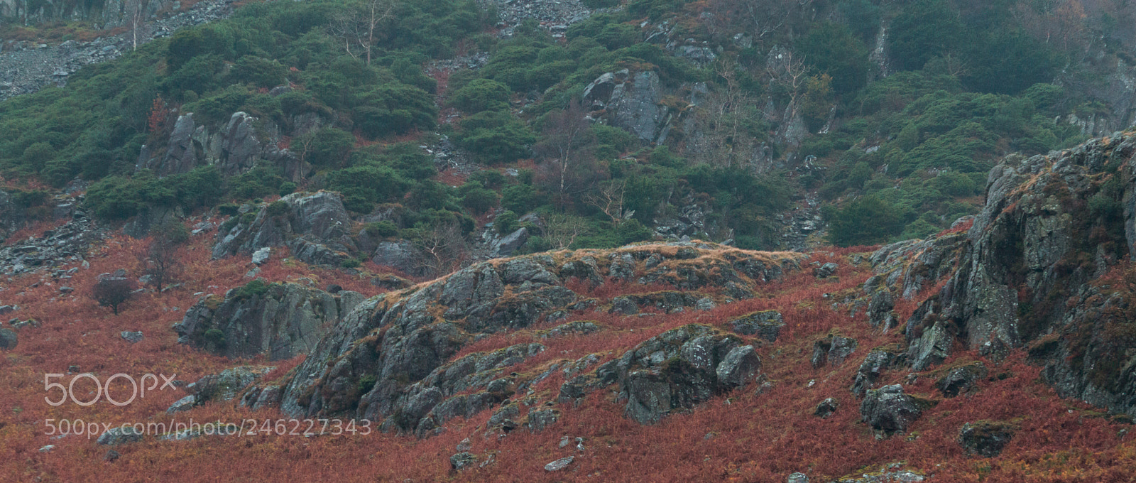 Nikon D3200 sample photo. Untitled photography