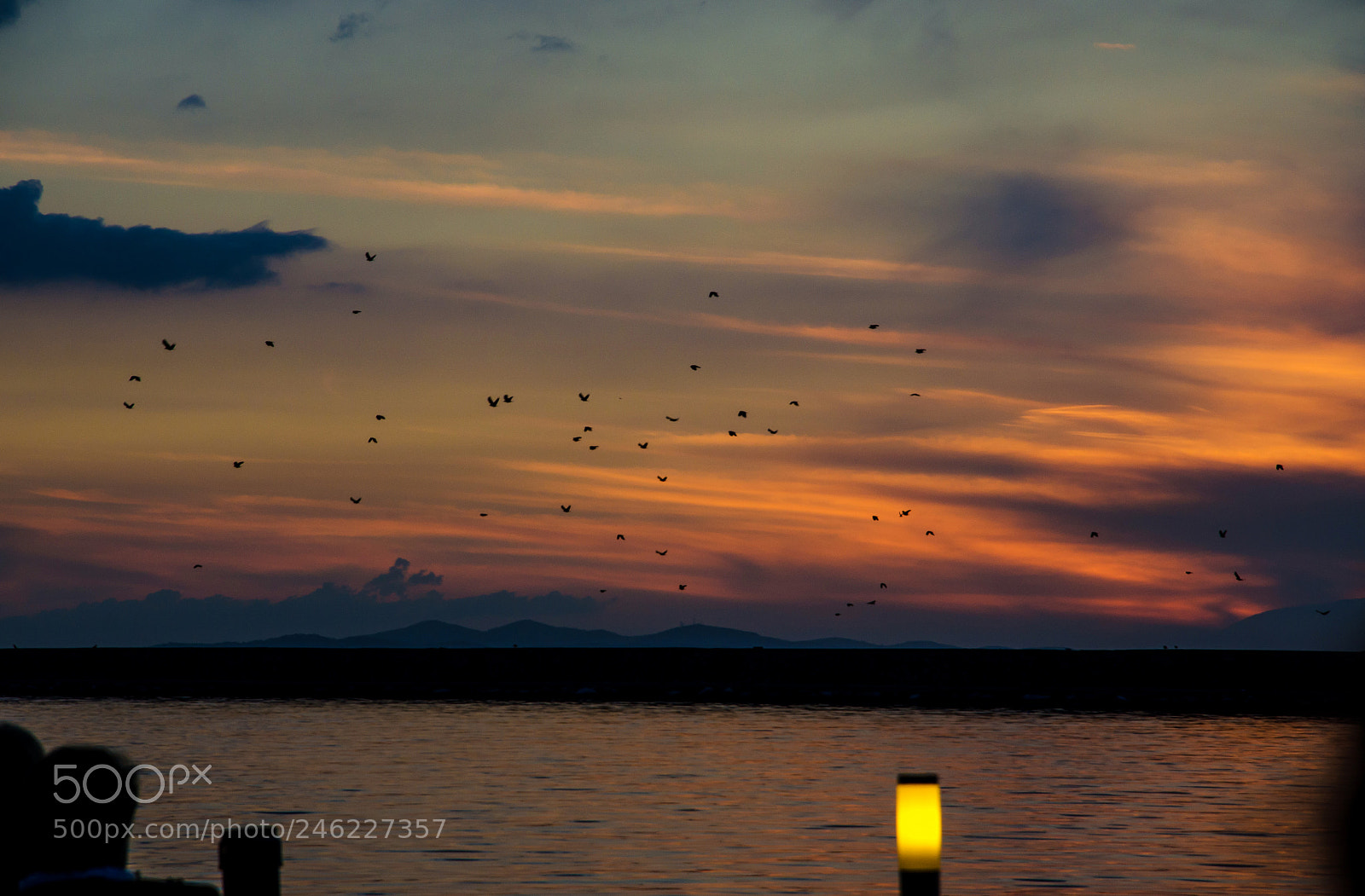 Nikon D5100 sample photo. Birds & sunset photography