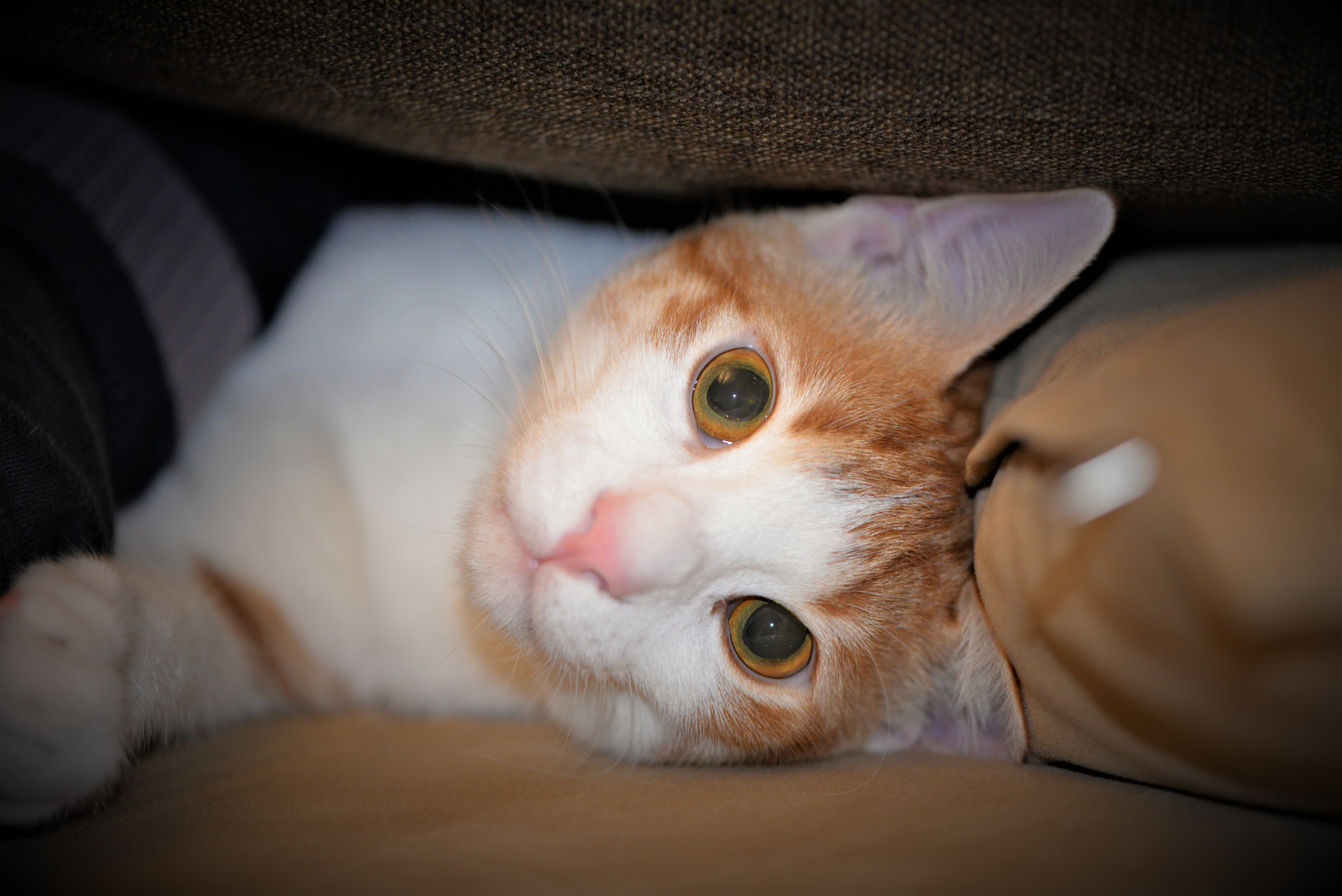 Sigma 105mm F2.8 EX DG OS HSM sample photo