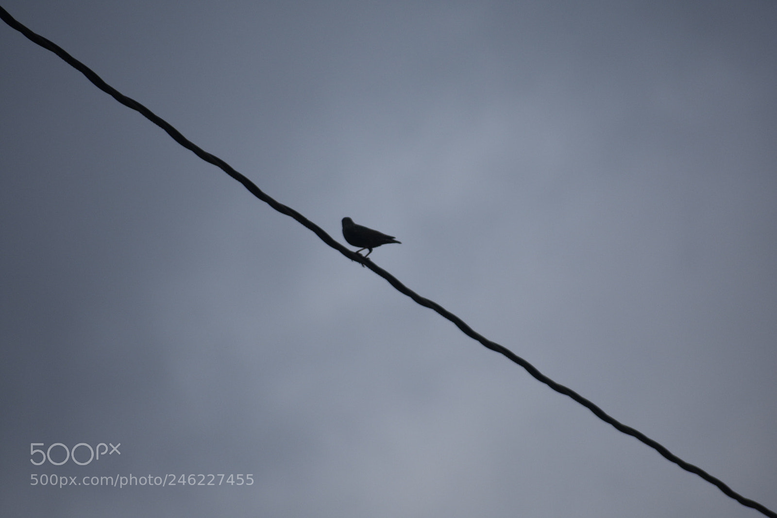 Nikon D3400 sample photo. Diagonal photography