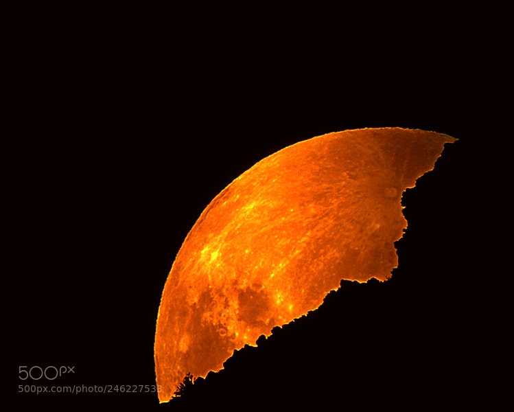 Apple iPhone 4S sample photo. Blood moon photography