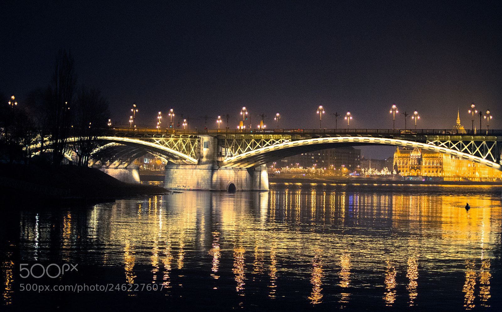 Nikon D7200 sample photo. Margaret bridge photography