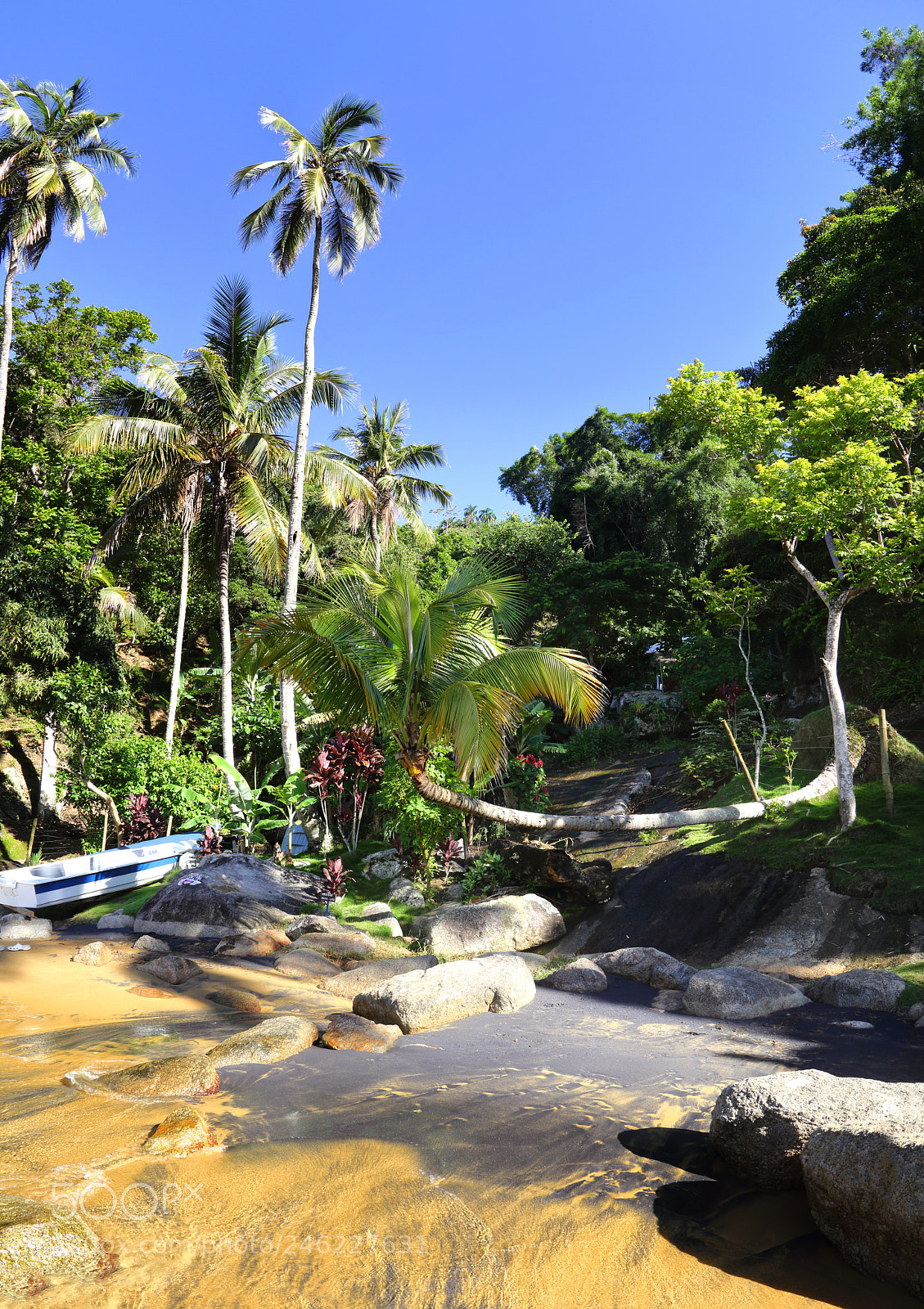 Canon EOS 60D sample photo. Crazypalm|brasil photography