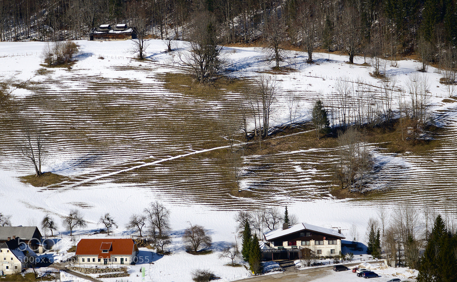 Olympus OM-D E-M10 II sample photo. Snowy lines photography