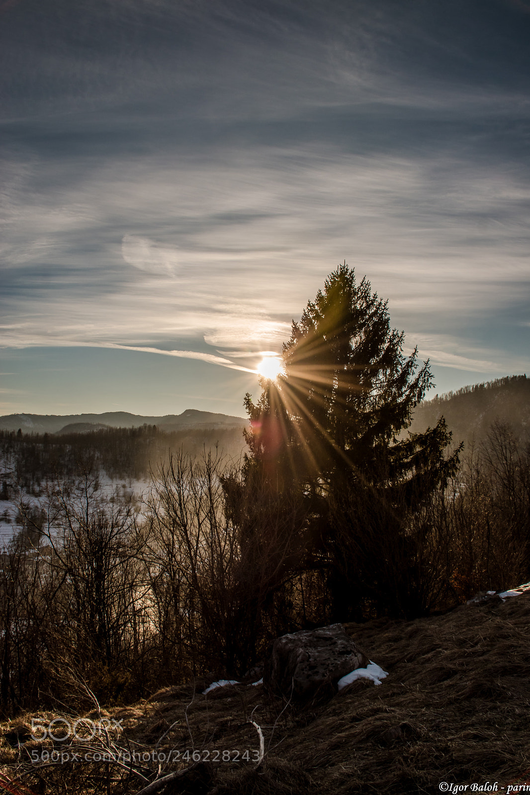 Nikon D5500 sample photo. Winter day photography