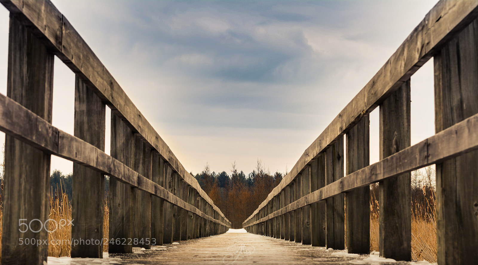 Nikon D7100 sample photo. I walked around my photography