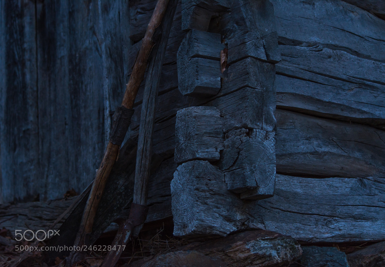 Nikon D5200 sample photo. Toolshed photography