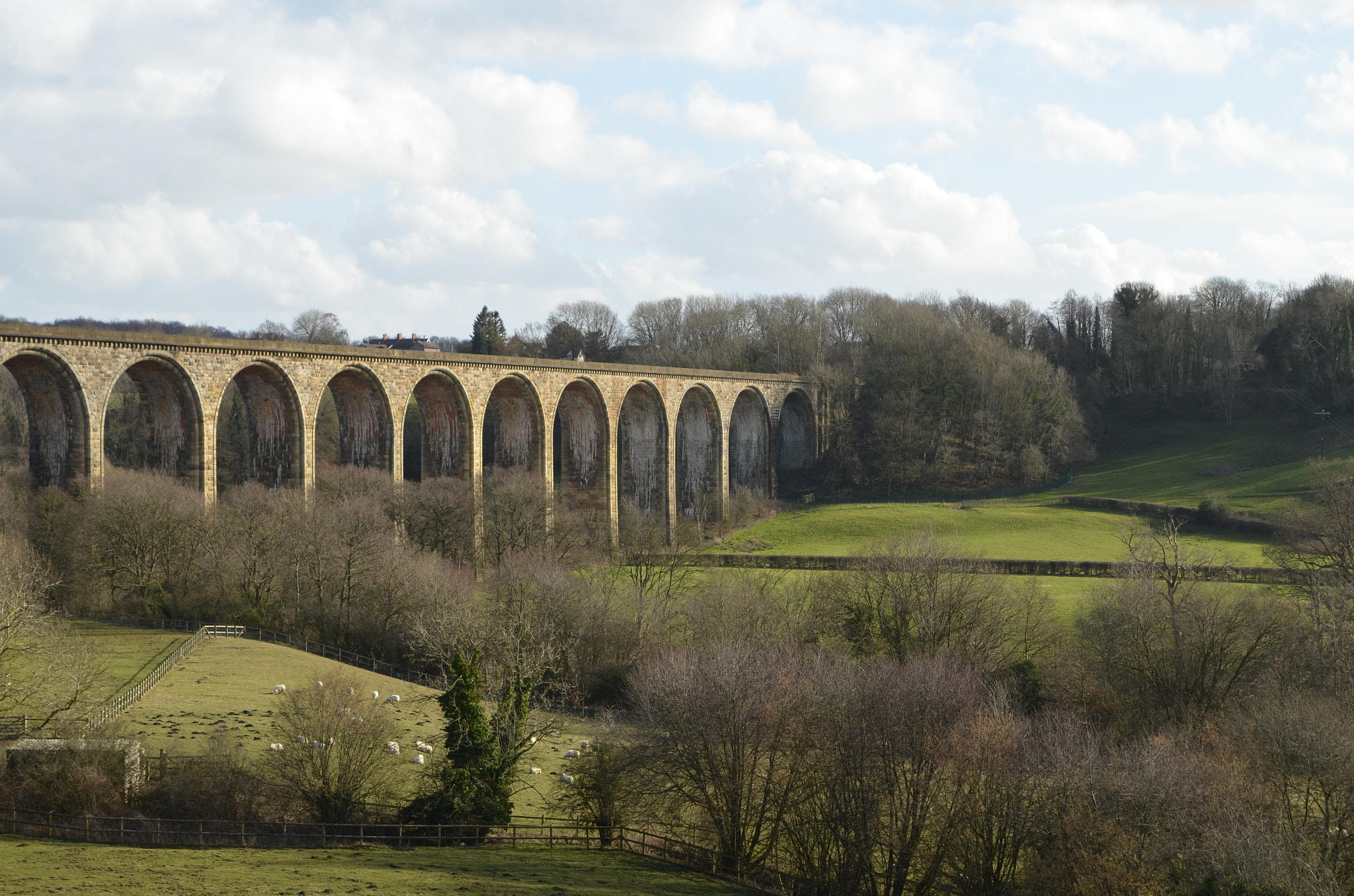 Nikon D5100 sample photo. Ty mawr photography
