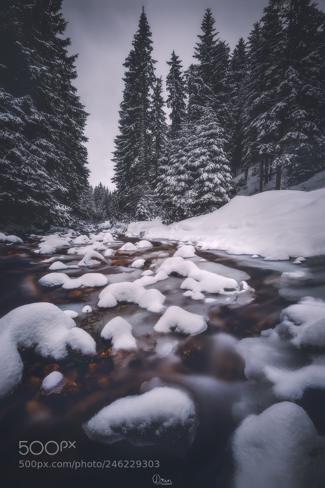 Nikon D7200 sample photo. Winter day photography