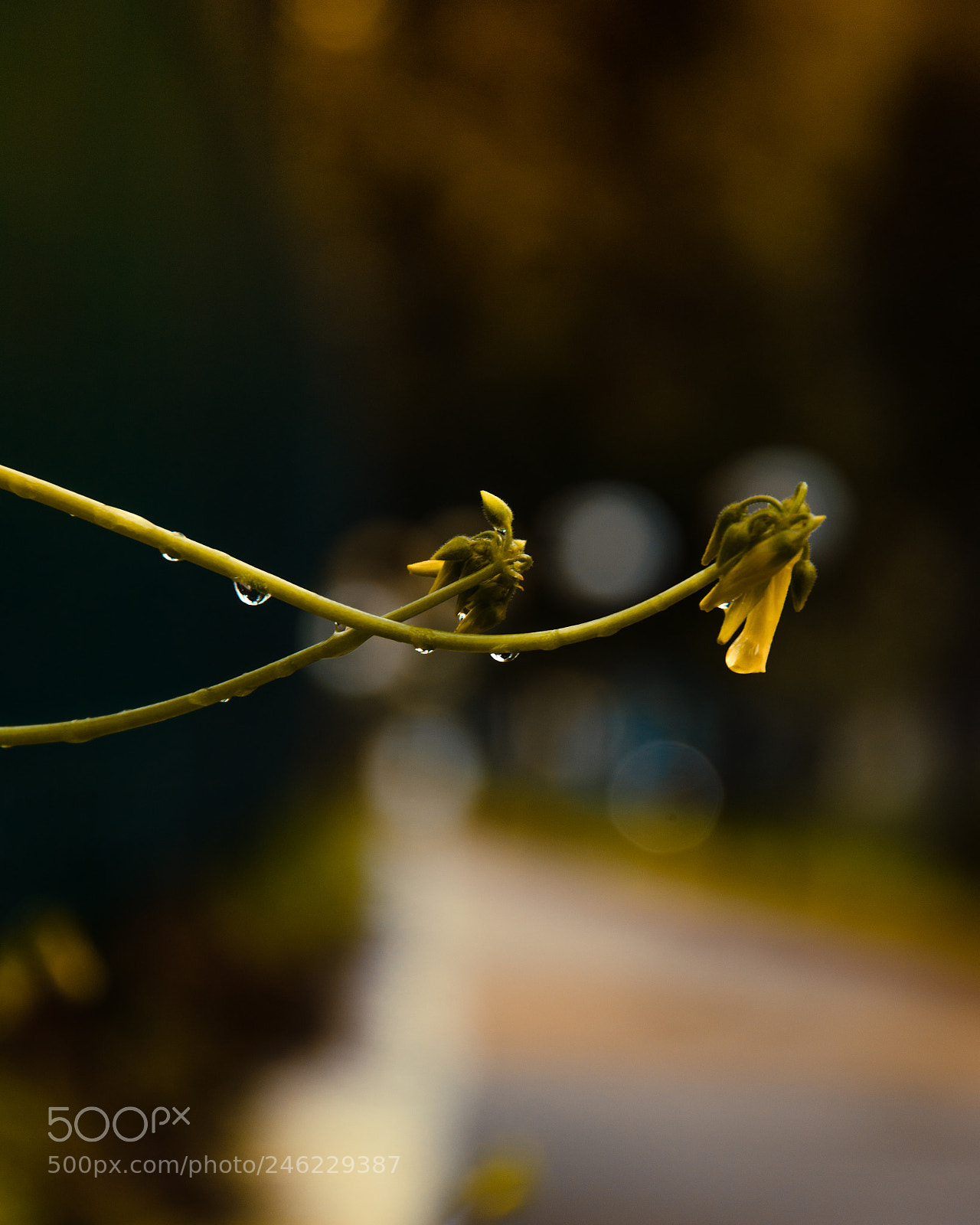 Nikon D3400 sample photo. Untitled photography