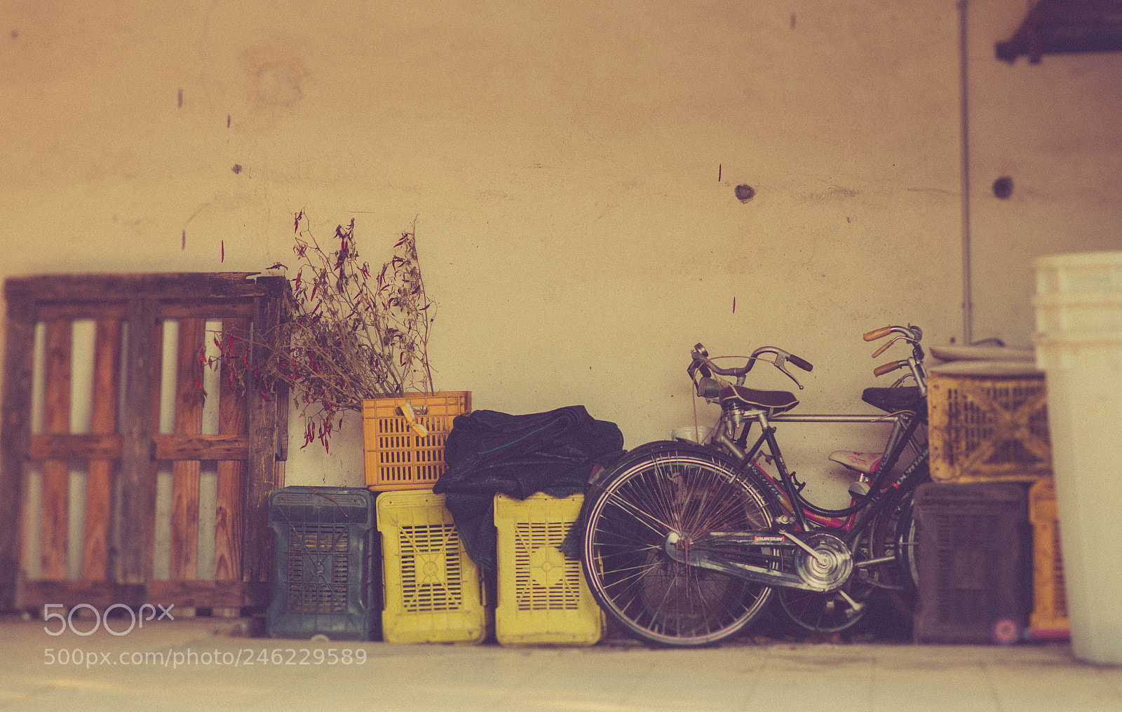 Nikon D5100 sample photo. Static photography