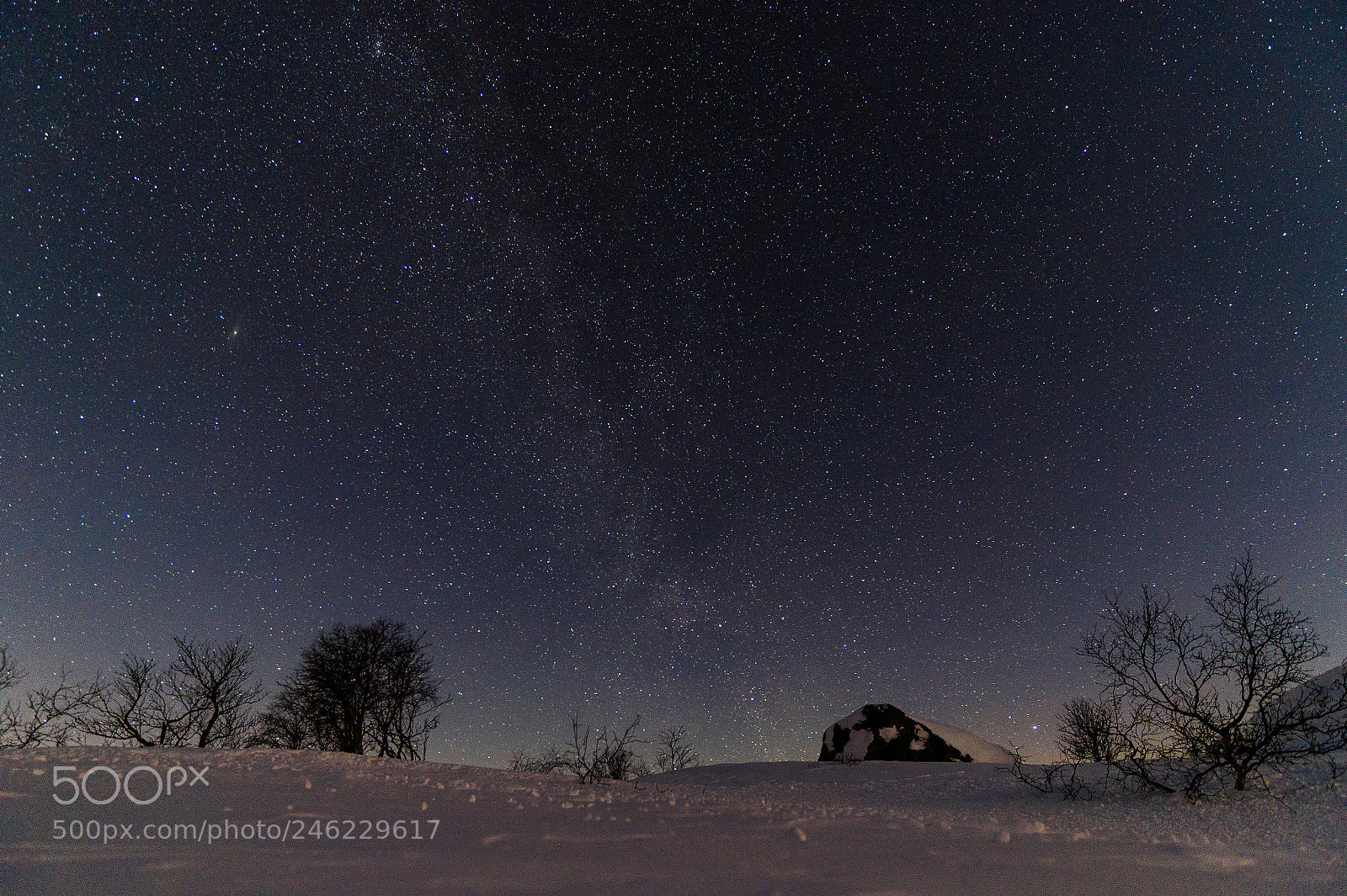 Nikon Df sample photo. Winter night photography