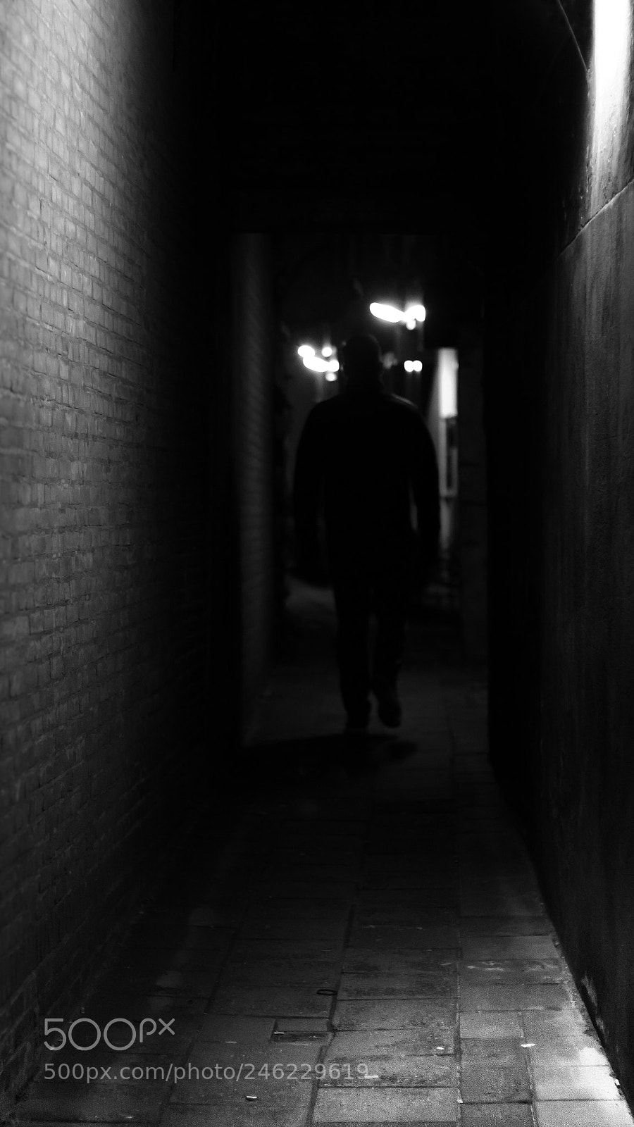 Canon EOS 600D (Rebel EOS T3i / EOS Kiss X5) sample photo. In the streets of photography