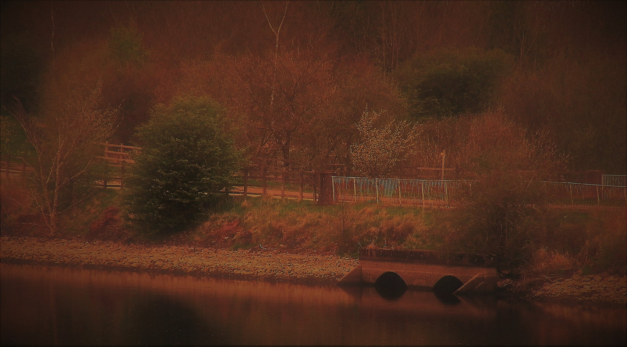 Fujifilm FinePix S8100fd sample photo. Autumn haze photography