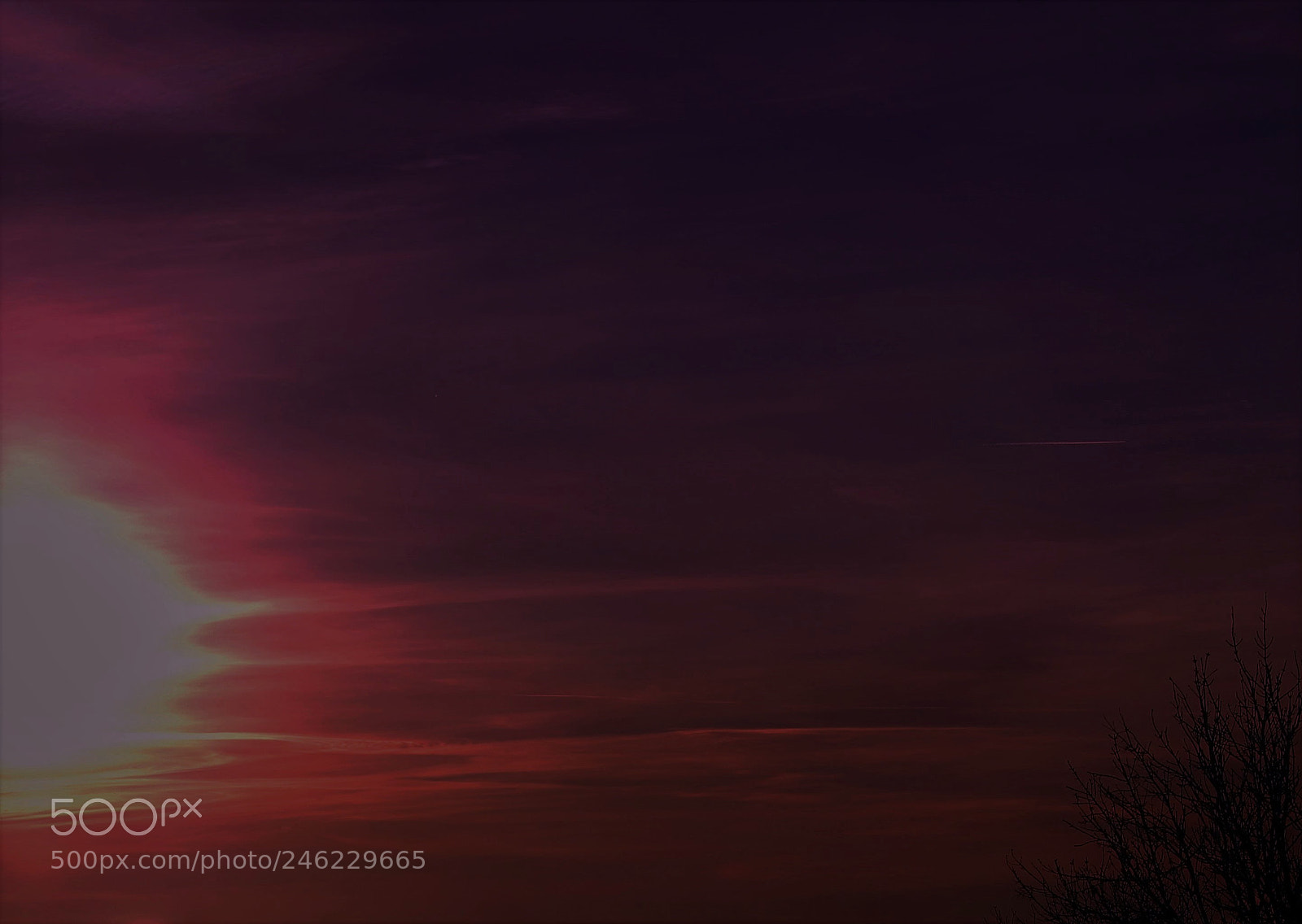 Canon EOS 700D (EOS Rebel T5i / EOS Kiss X7i) sample photo. Purple haze photography