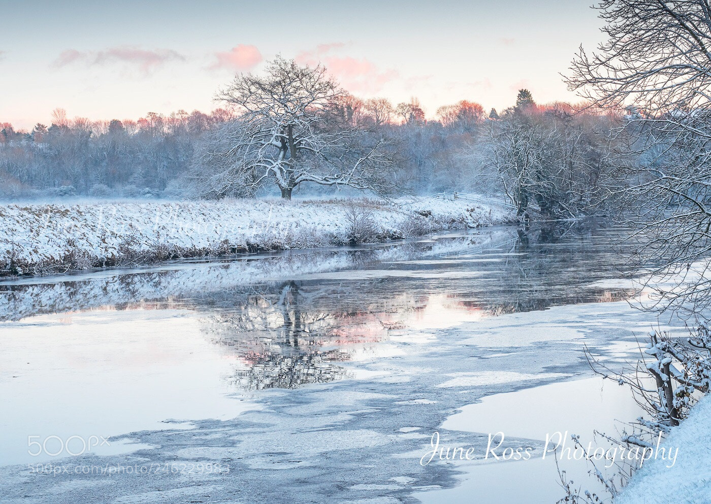 Olympus OM-D E-M5 II sample photo. Winter photography