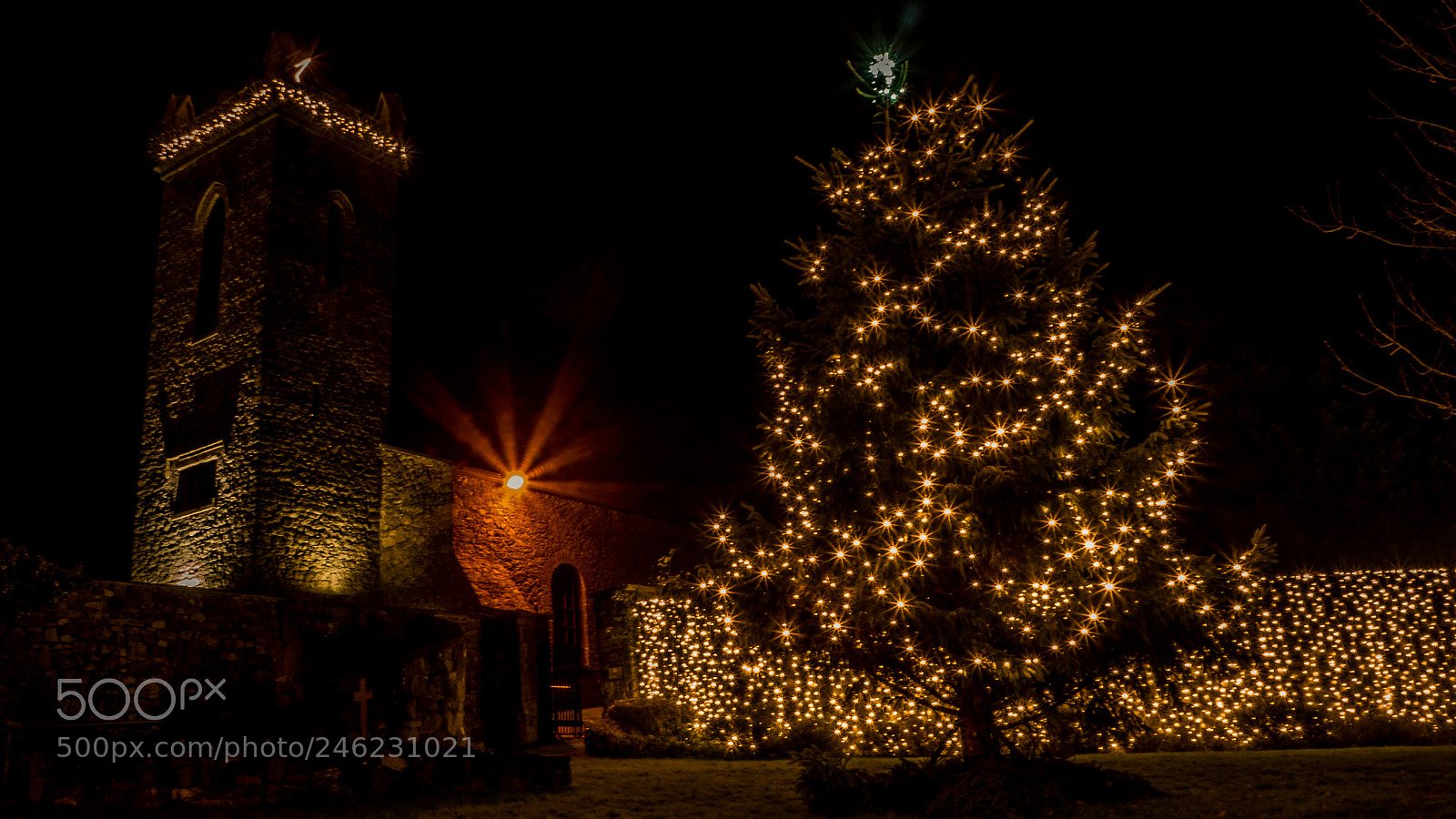 Olympus OM-D E-M10 II sample photo. Abbey lights photography