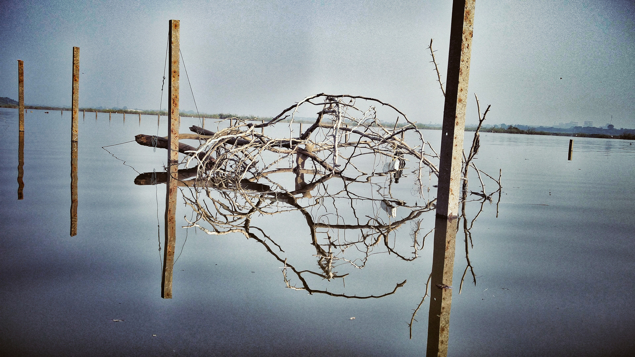 OnePlus 2 sample photo. Reflections photography
