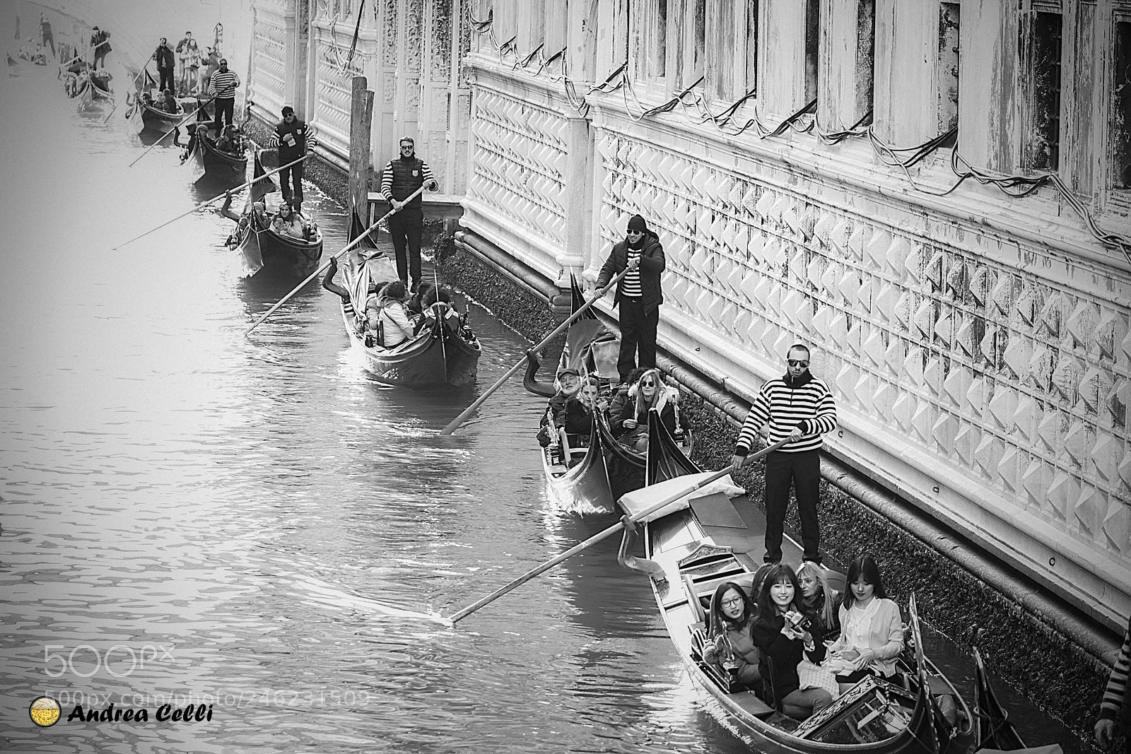 Nikon D7100 sample photo. Dsc_7480-2.jpg photography