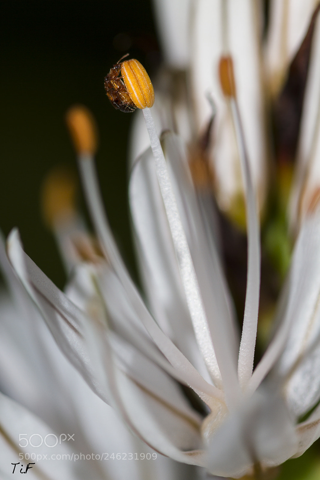 Canon EOS 7D sample photo. A little photography