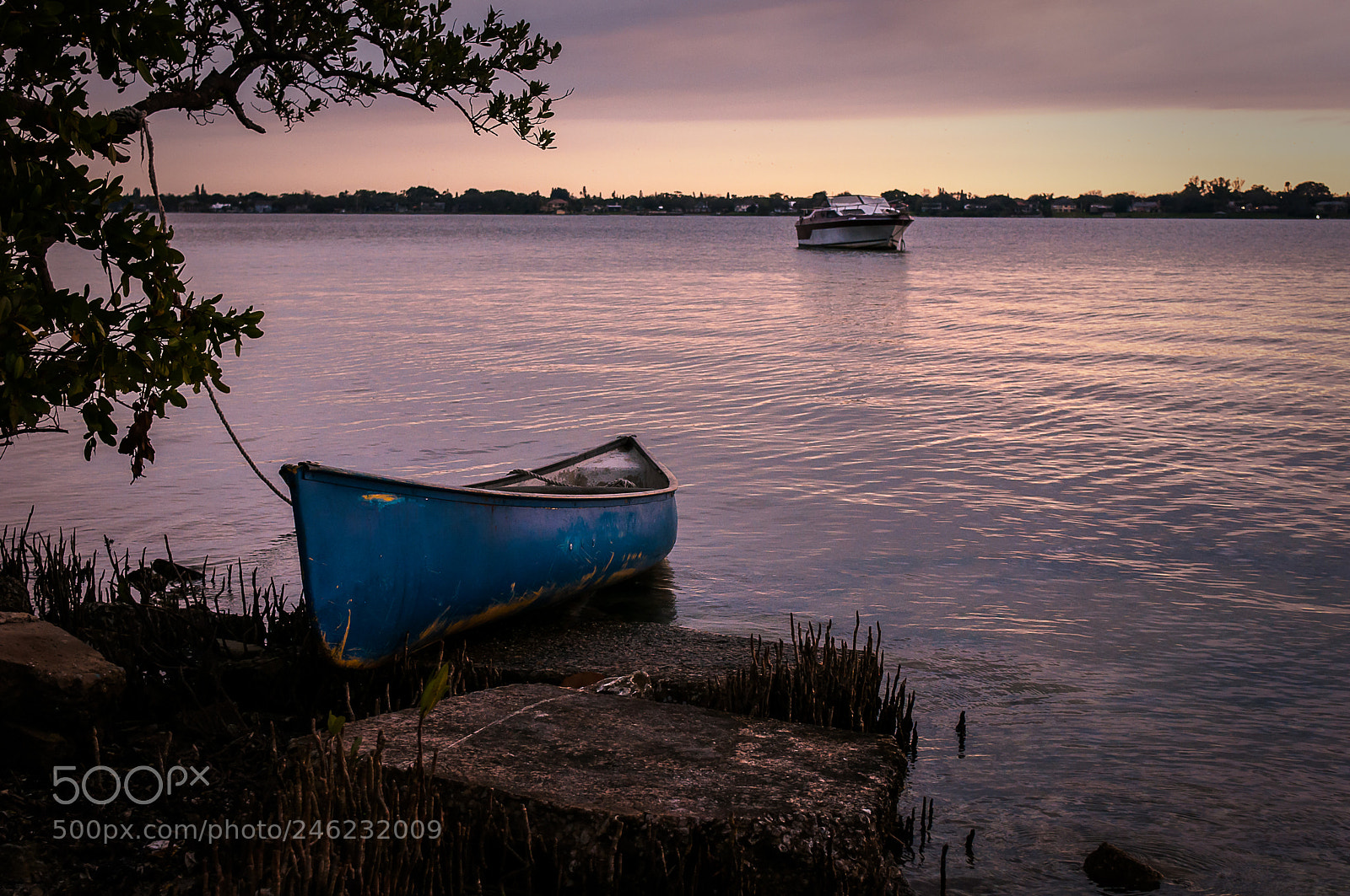 Nikon D5000 sample photo. Boats on manatee river photography