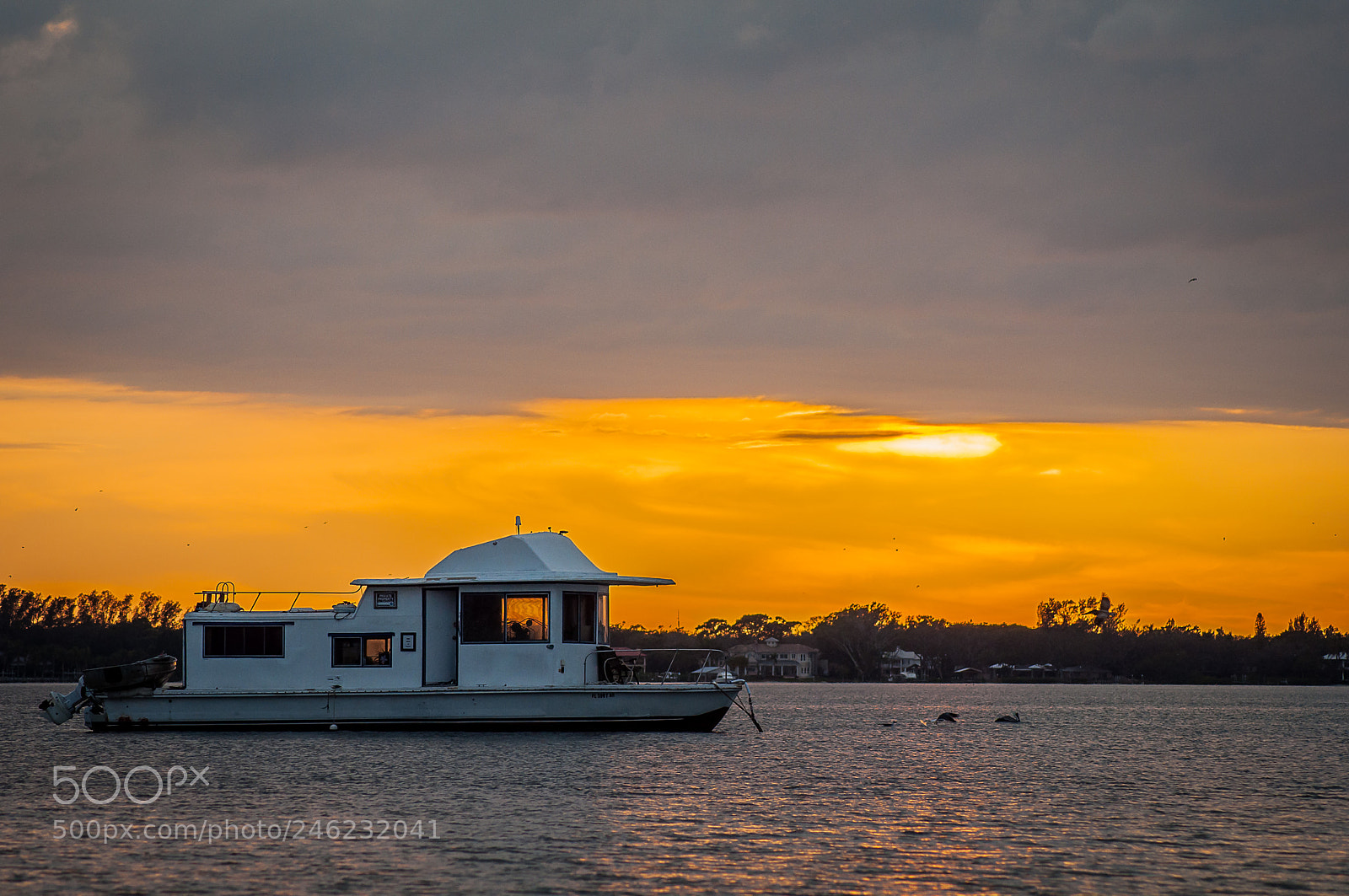 Nikon D5000 sample photo. Closeup of boat snead photography
