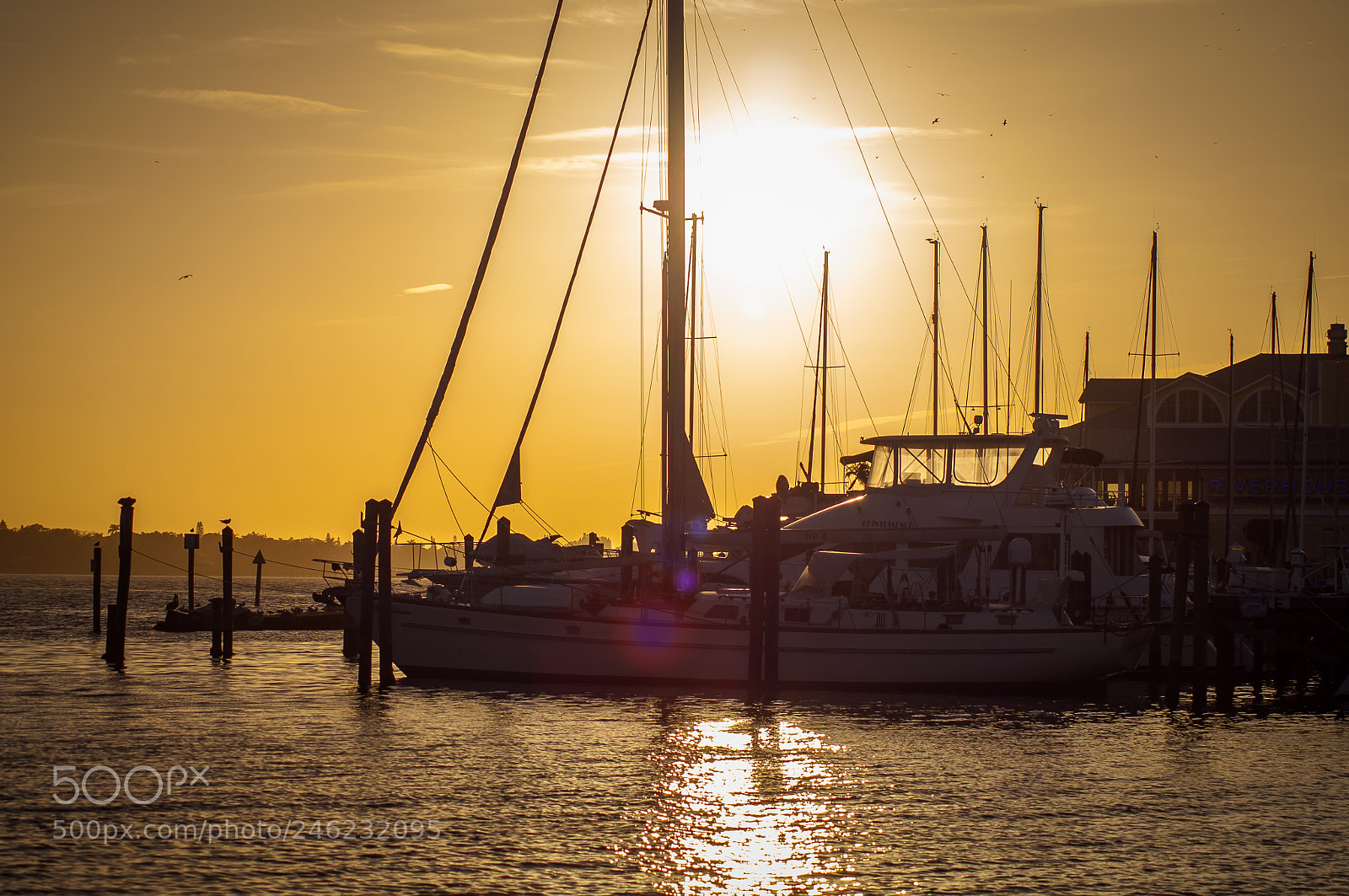 Nikon D5000 sample photo. Sunset behind the boats photography
