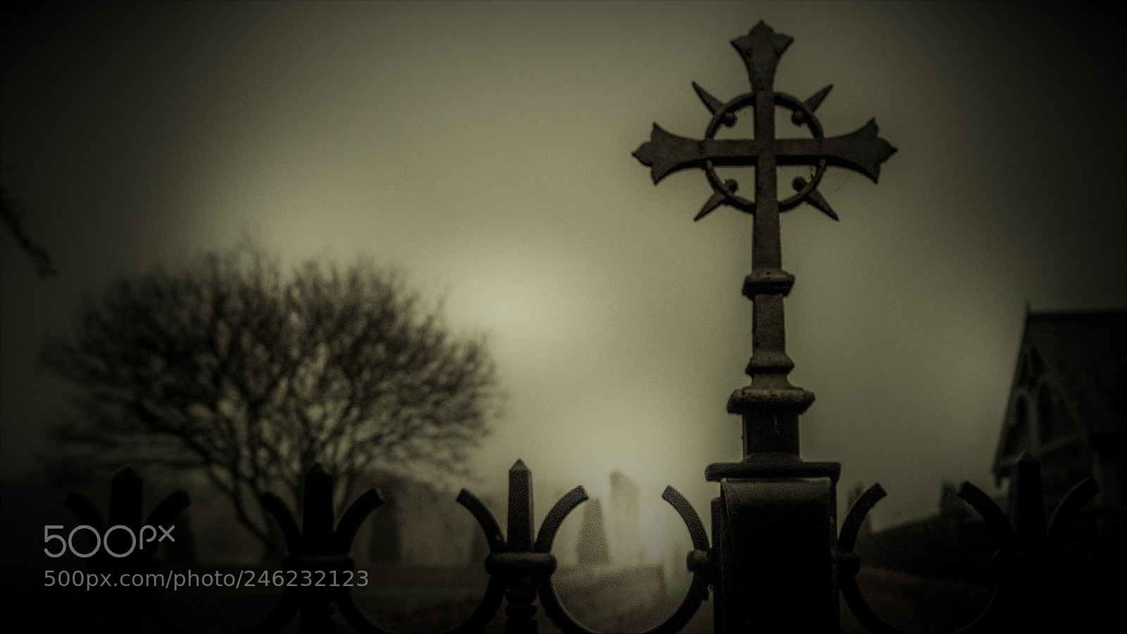 Olympus OM-D E-M10 II sample photo. Abbey cemetery photography