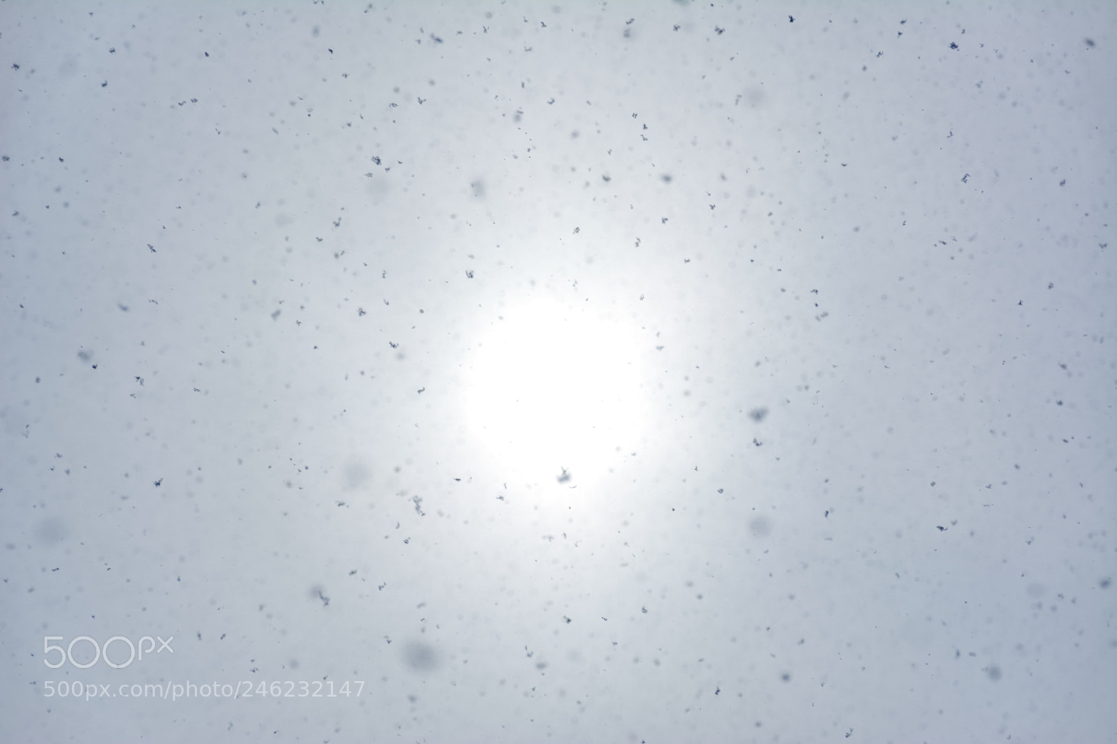 Nikon D7100 sample photo. Sunsnow photography