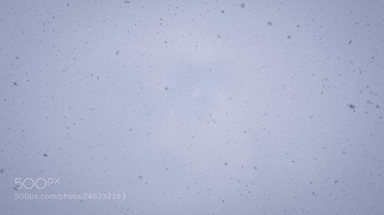 Nikon D7100 sample photo. Snow photography