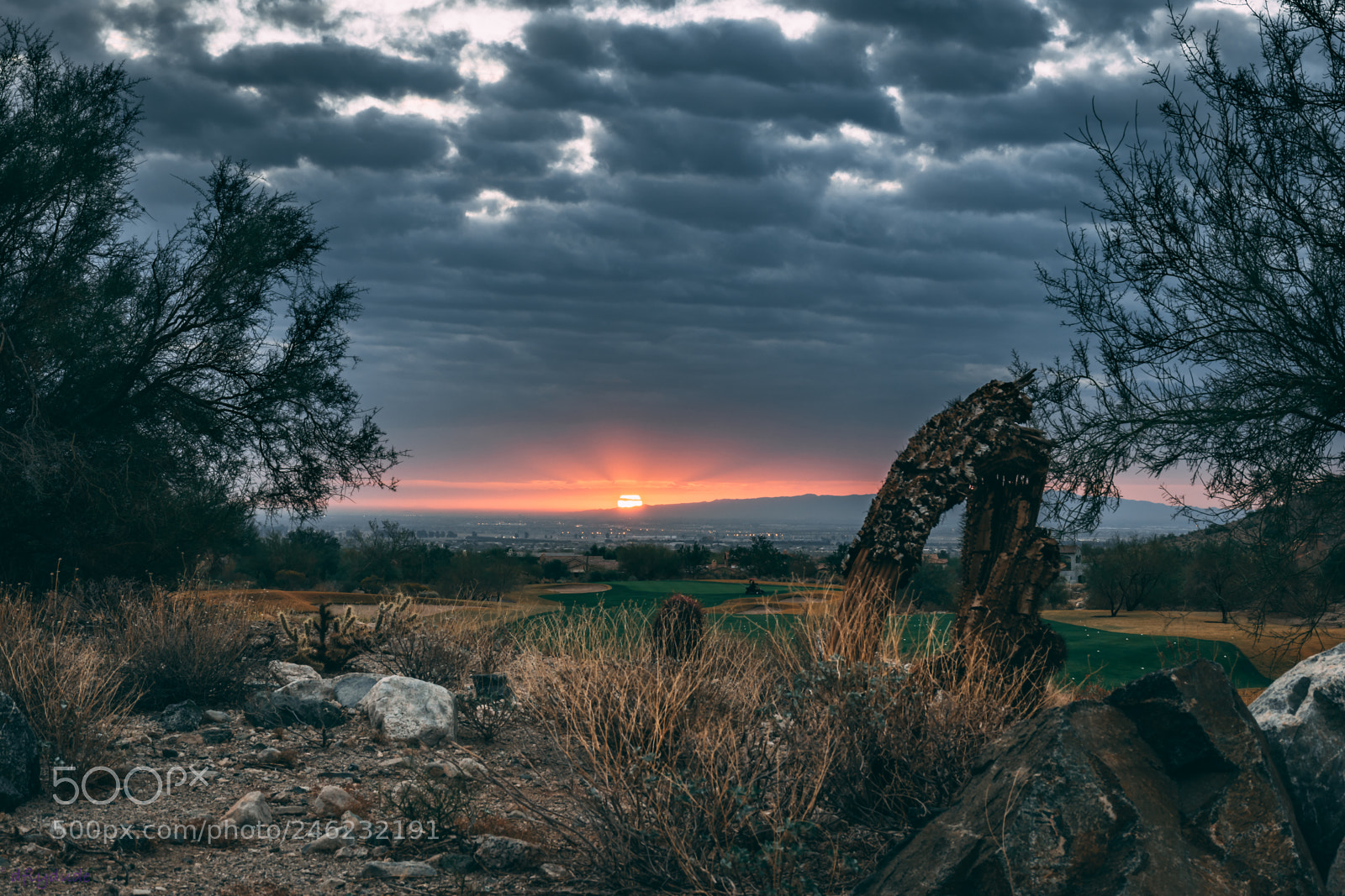 Nikon D5600 sample photo. Lowring sky 0524 photography