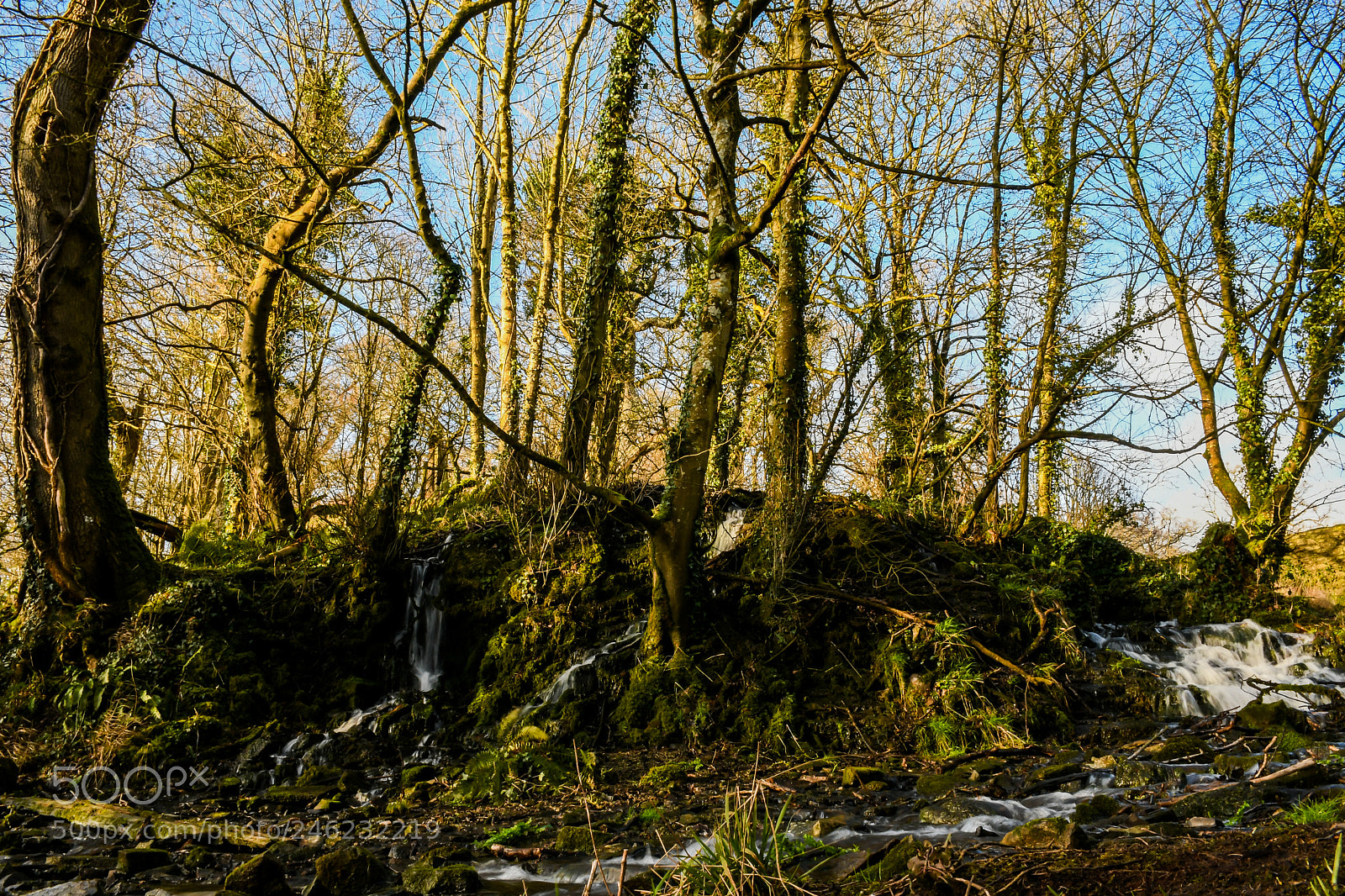 Nikon D7500 sample photo. Calm photography