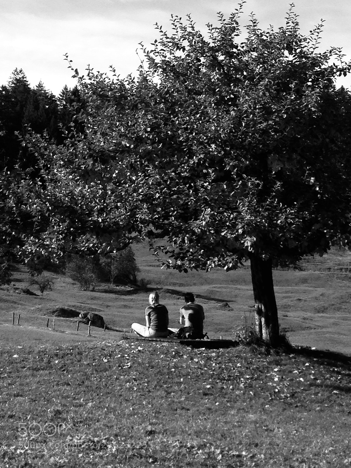 Apple iPhone 5 sample photo. Untitled photography