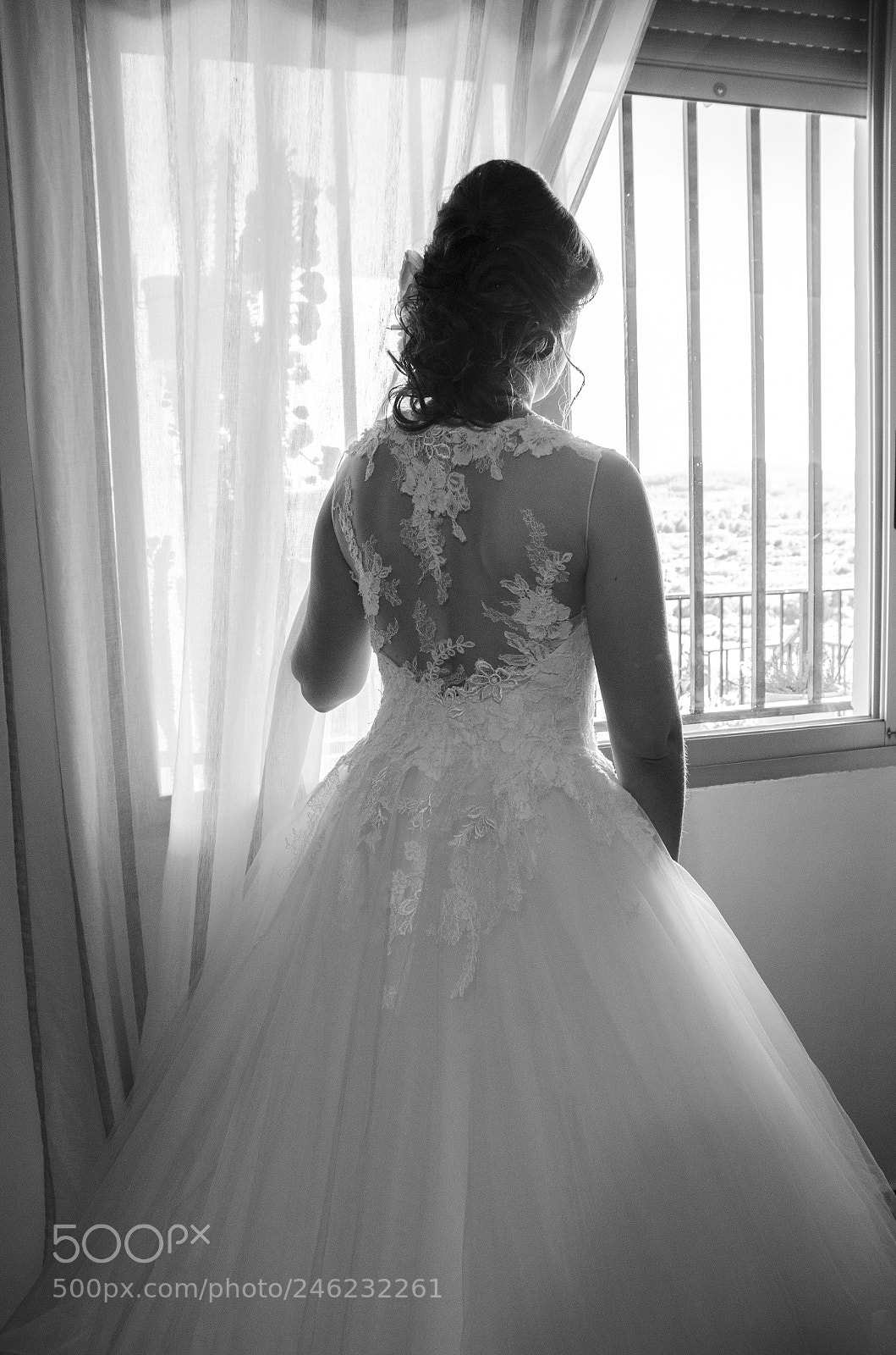 Nikon D5100 sample photo. Untitled photography