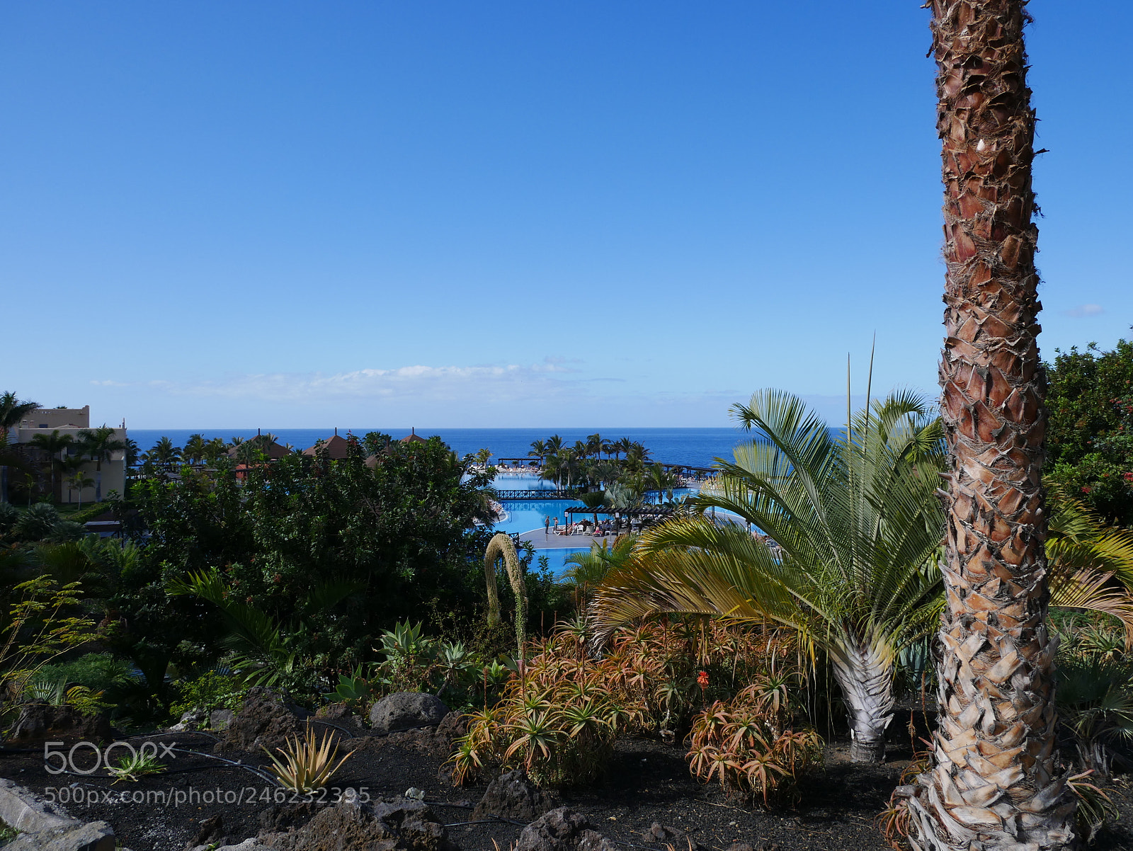 Panasonic DMC-G70 sample photo. La palma photography
