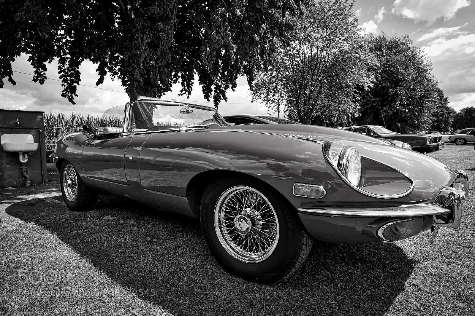 Fujifilm X-E2 sample photo. Jaguar photography