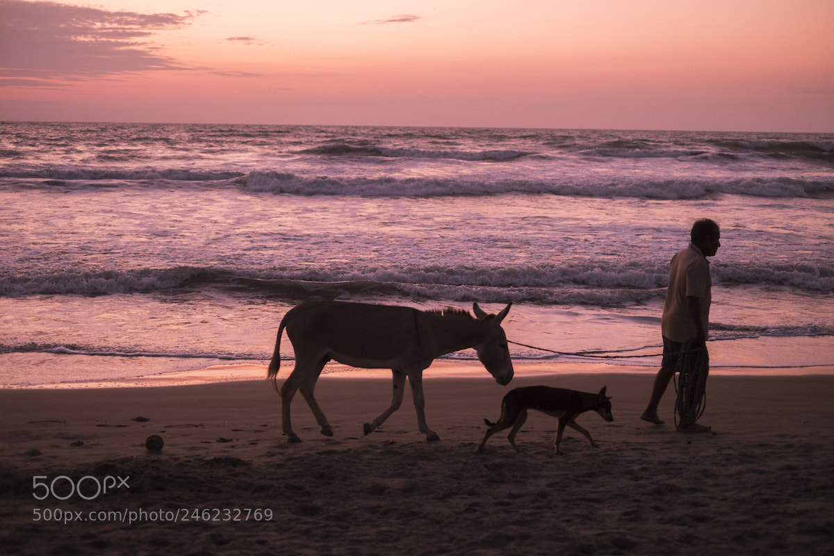 Fujifilm X-T20 sample photo. End of day, ecuador photography