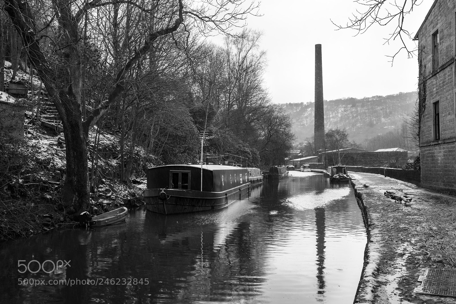 Nikon D810 sample photo. Moored for winter photography
