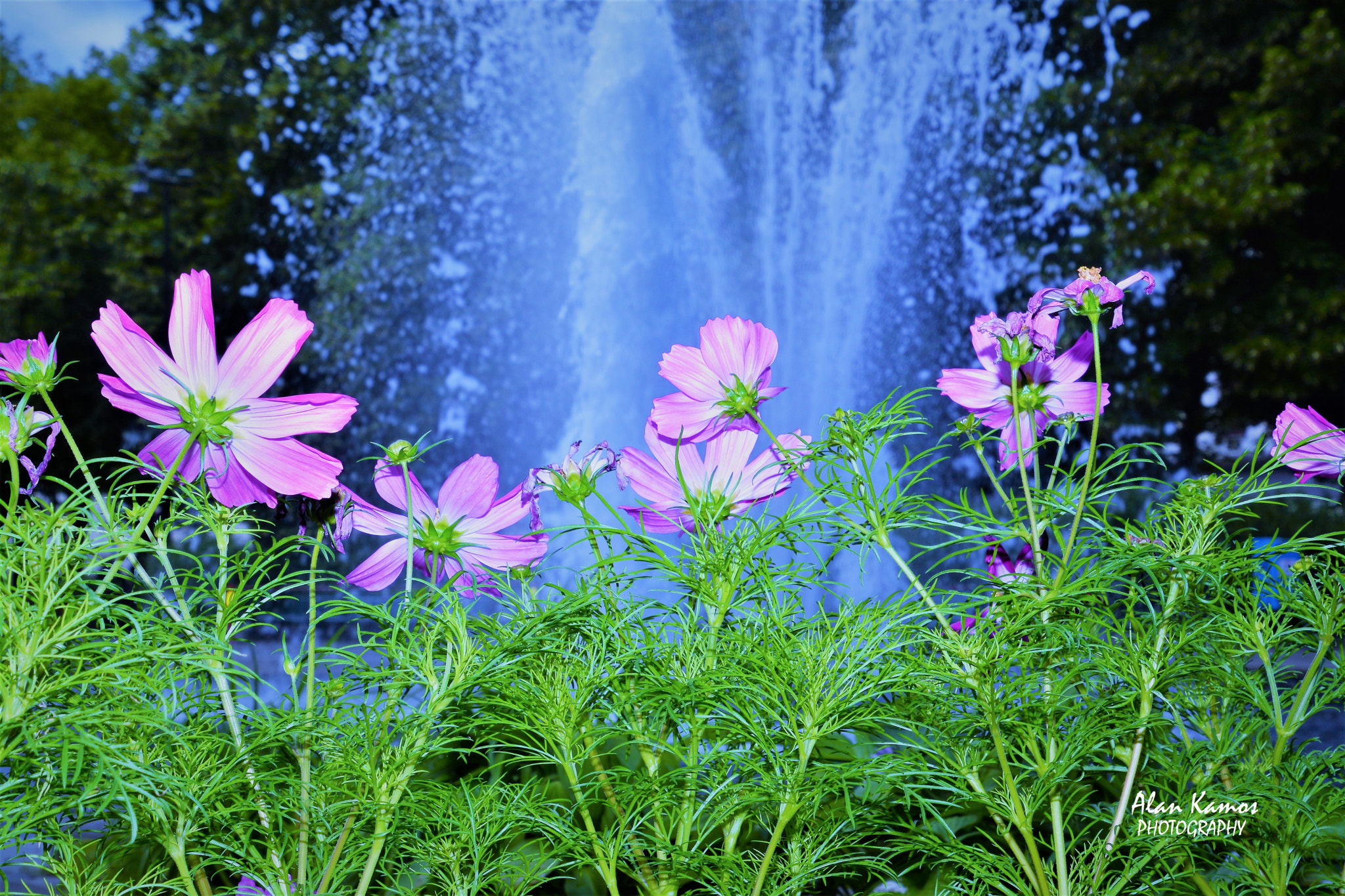 Nikon D5200 sample photo