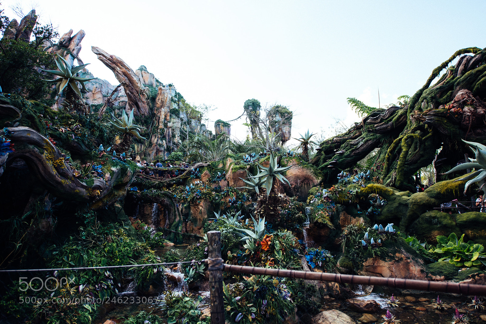 Nikon D810 sample photo. Pandora photography
