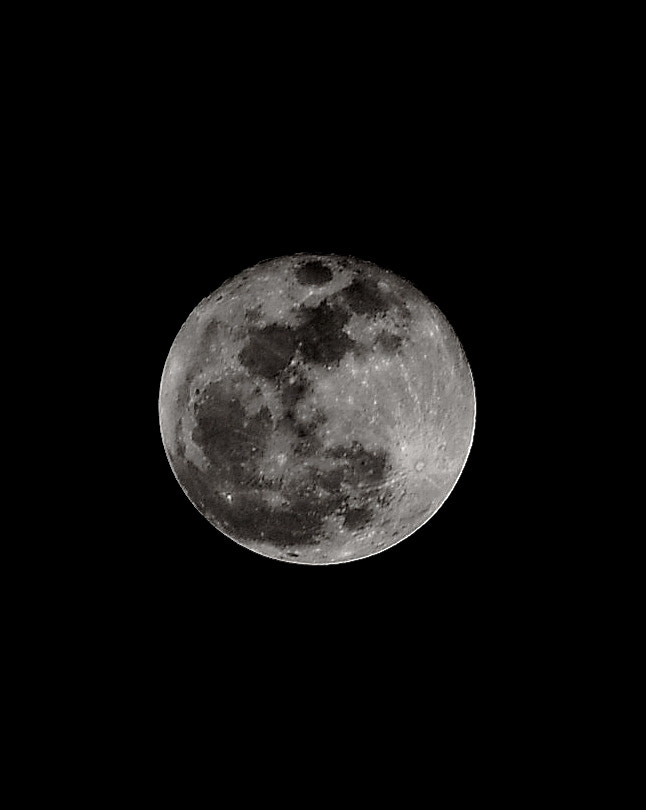 Nikon D7500 sample photo