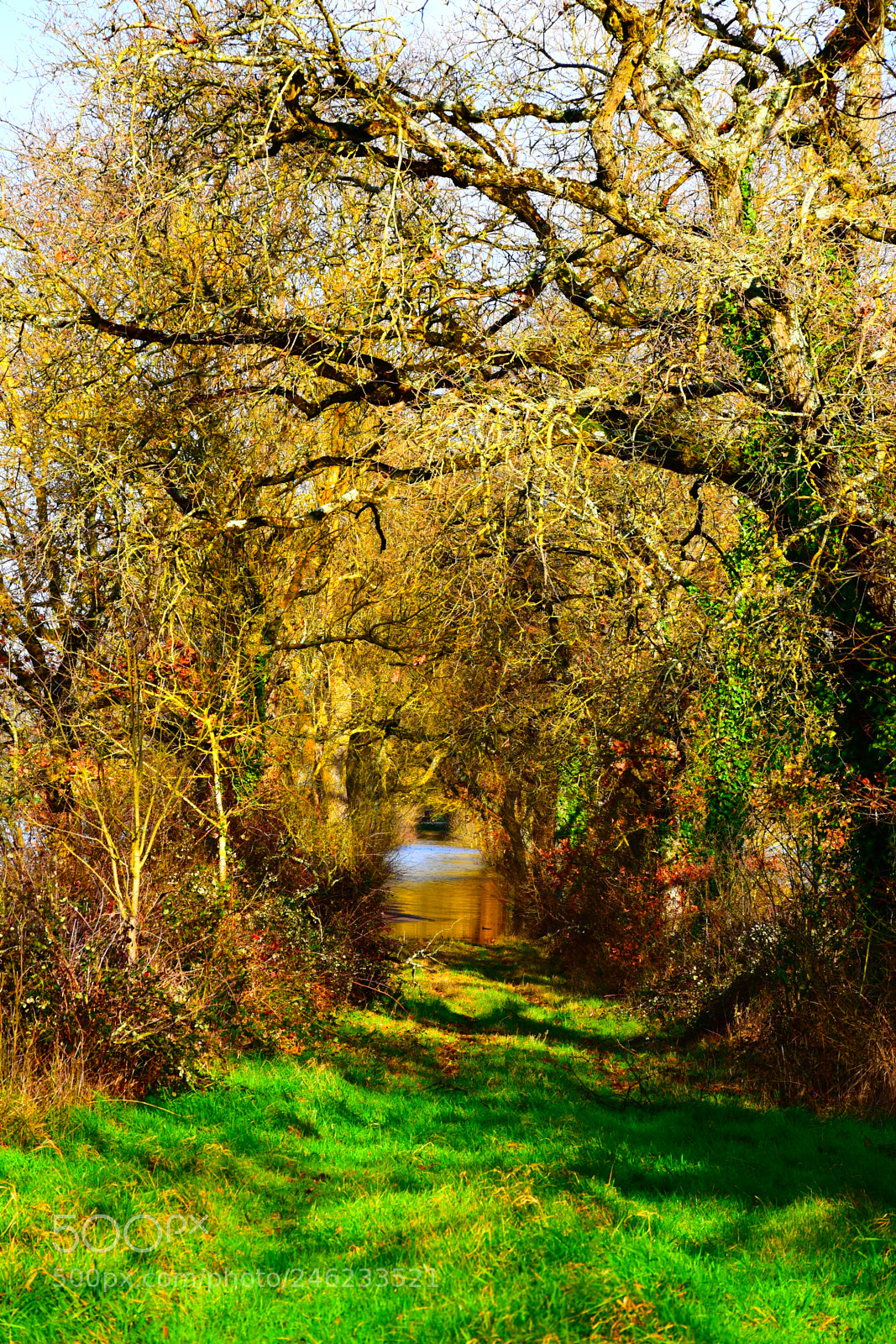 Nikon D5600 sample photo. Alice in wonderland photography
