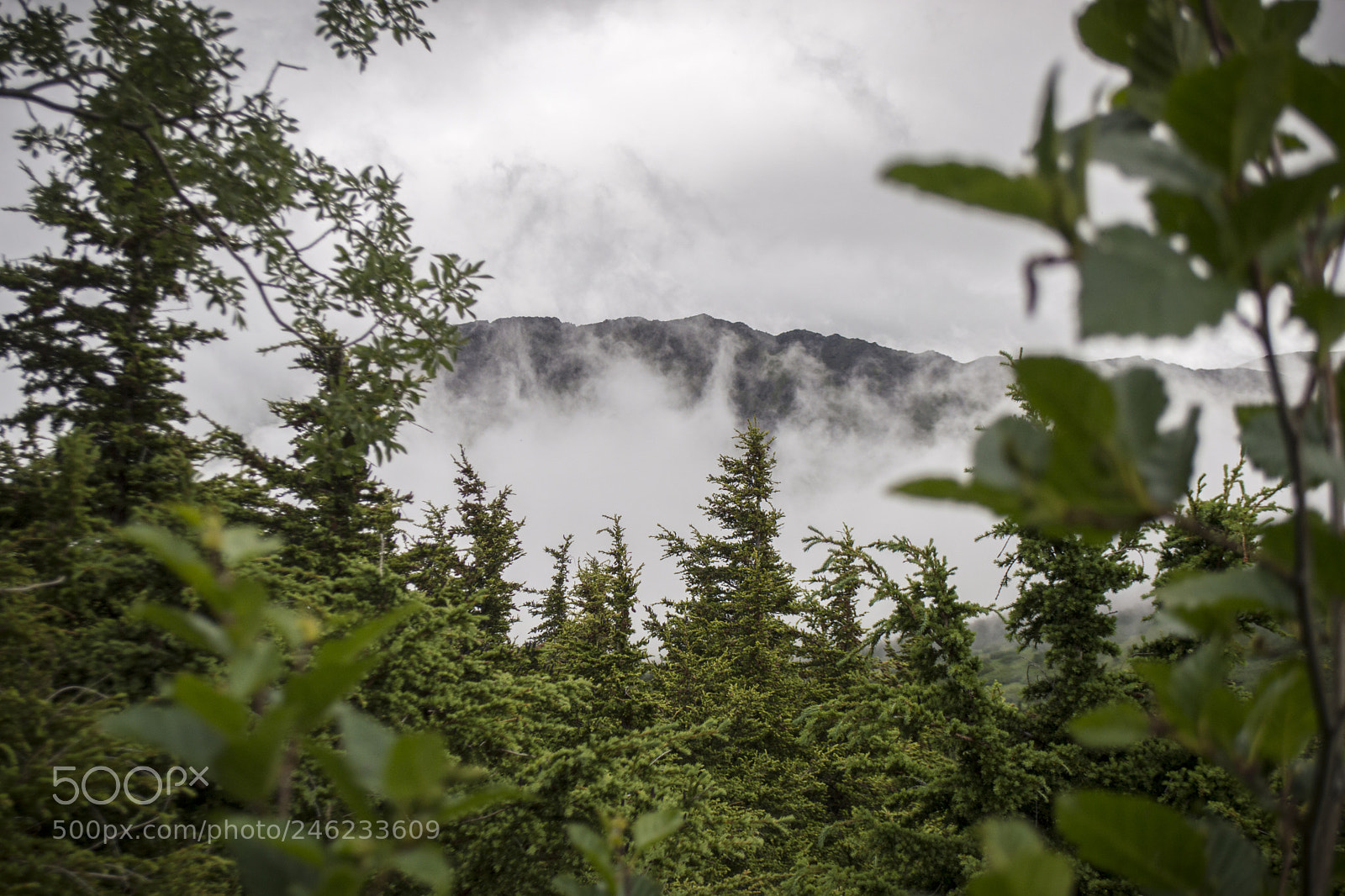 Nikon D3200 sample photo. Untitled anchorage photography